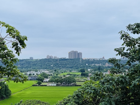 A green landscape with buildings in the distance.