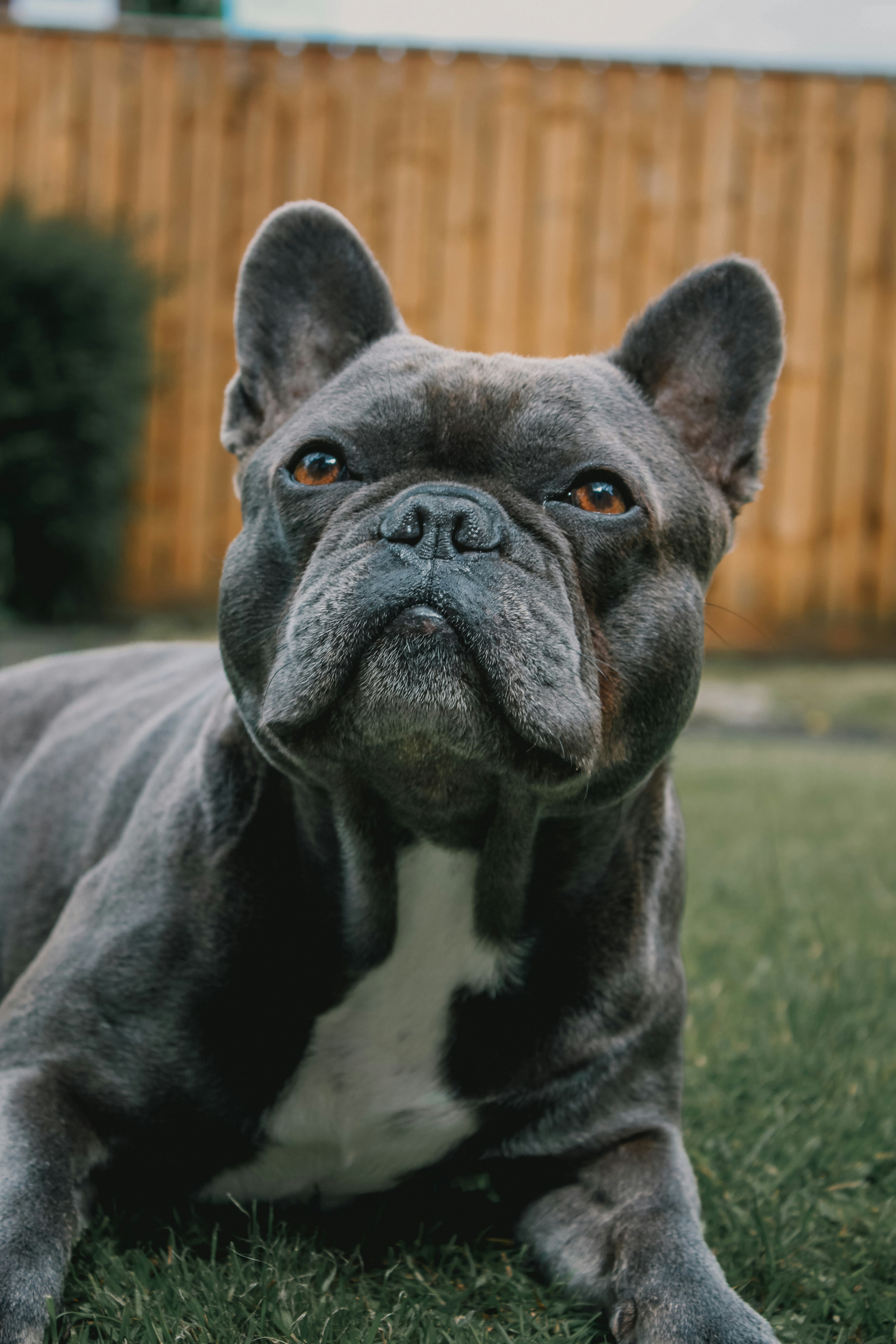 Photo by mynameisged