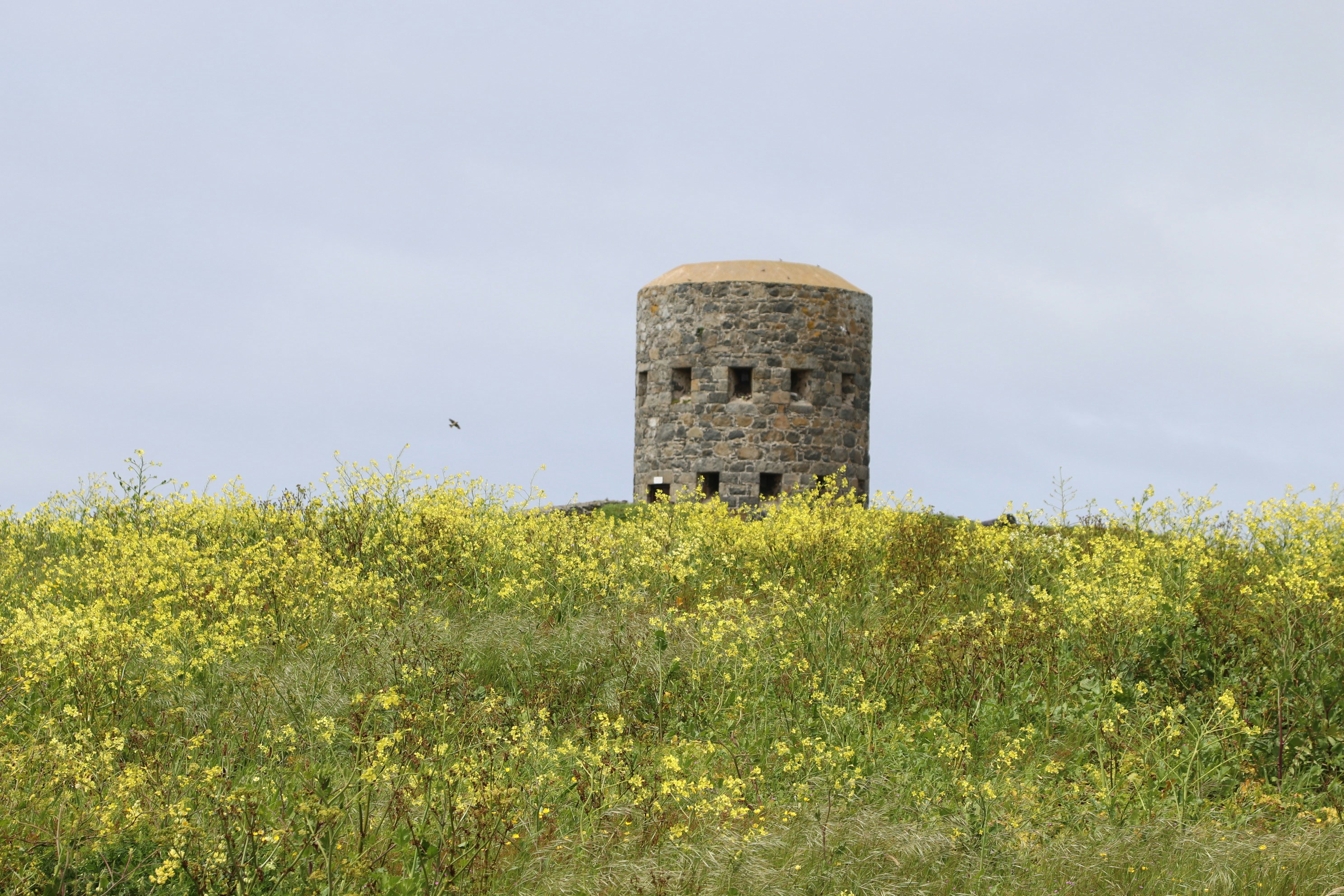 Photo by tanyabarrow