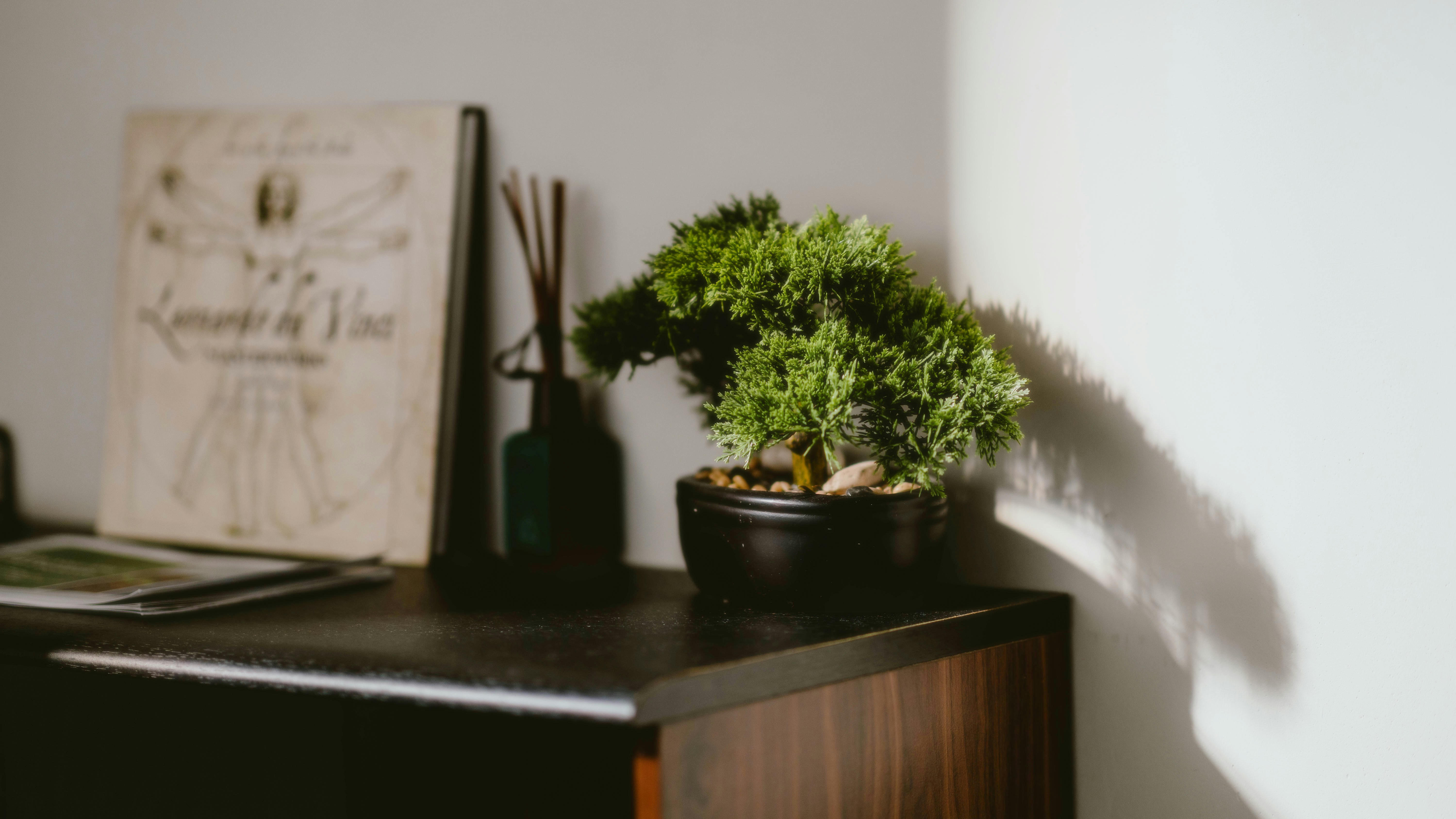 Photo by alingavriliuc