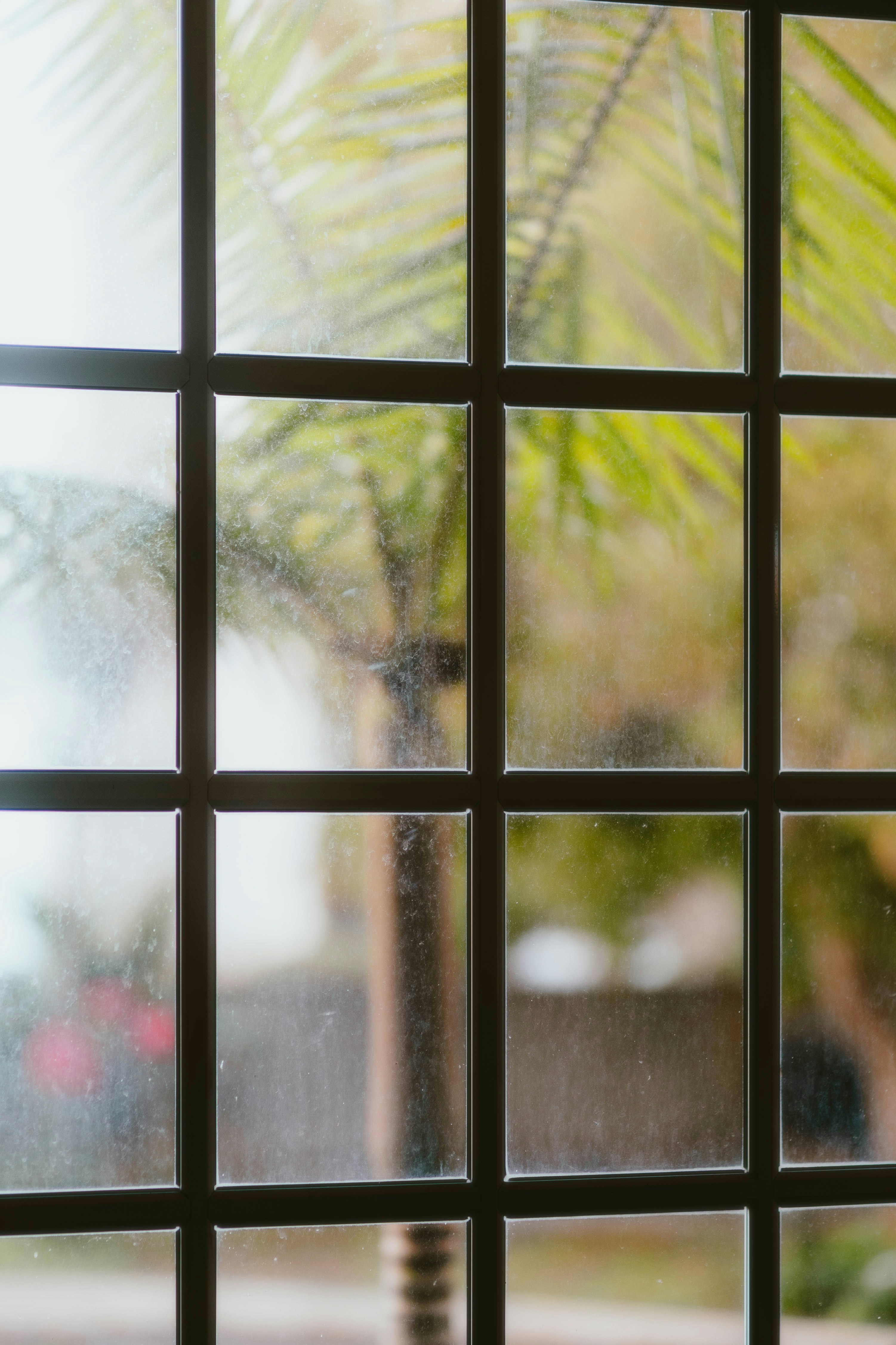 Photo by alingavriliuc