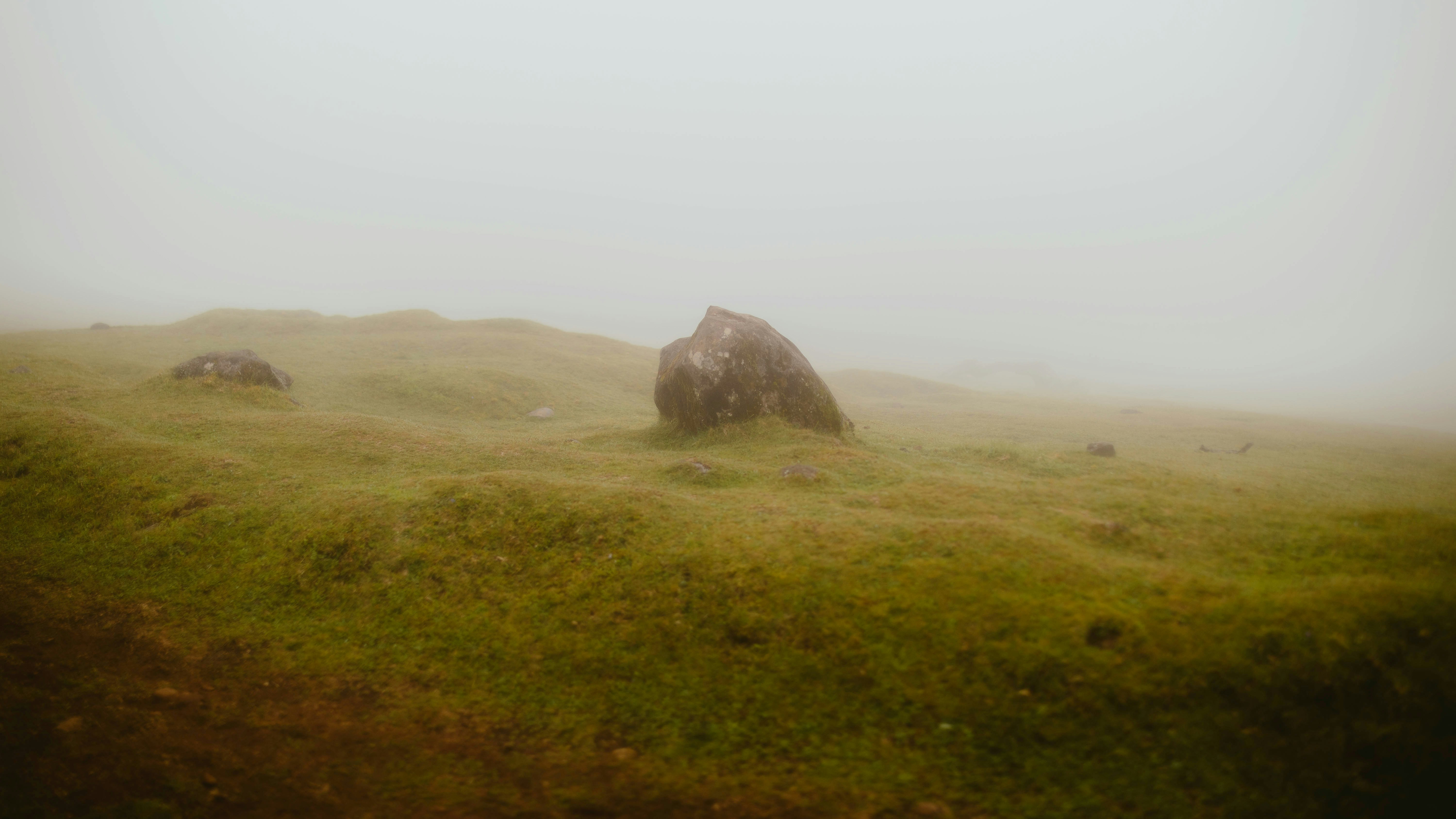 Photo by alingavriliuc