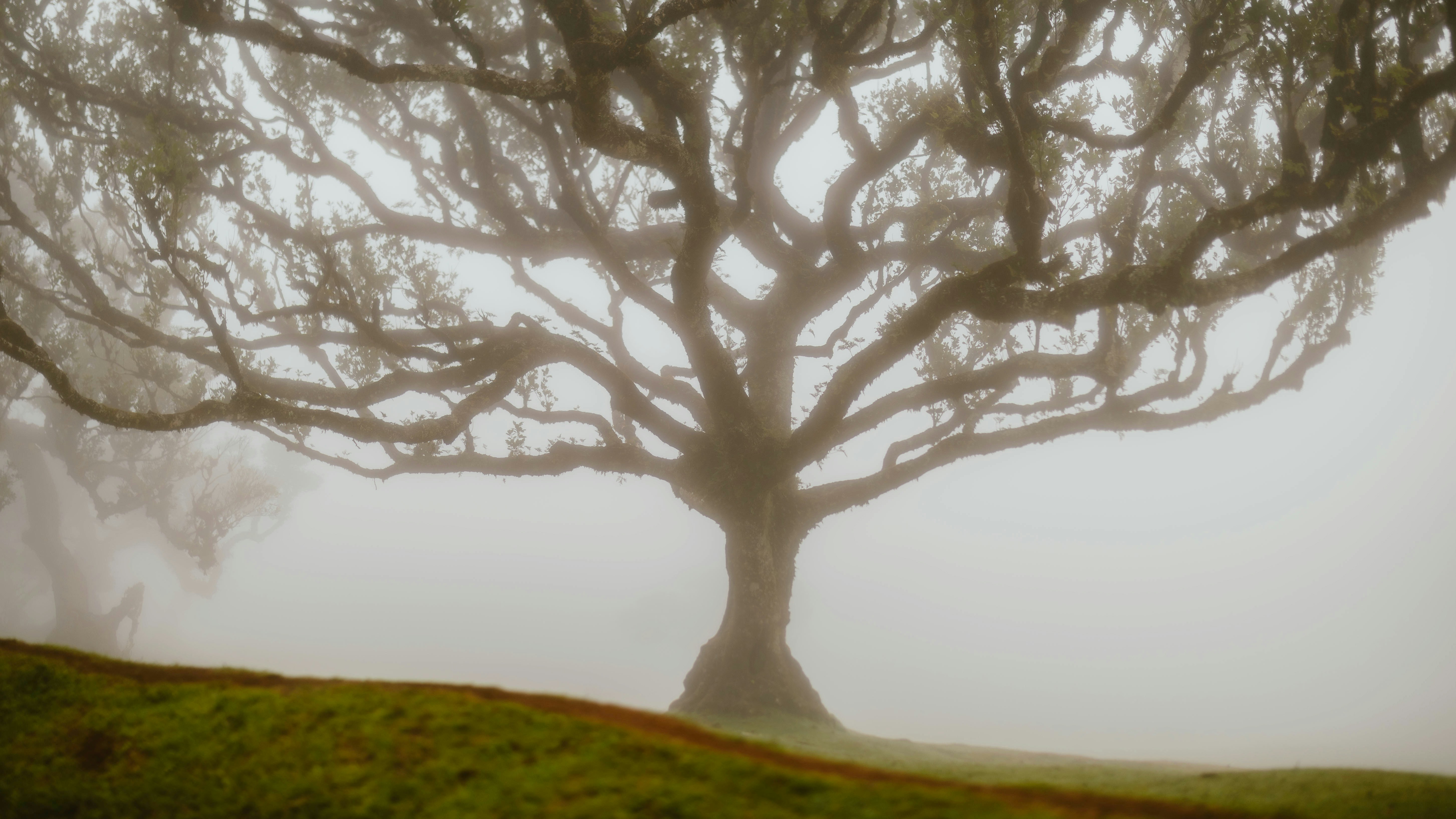 Photo by alingavriliuc