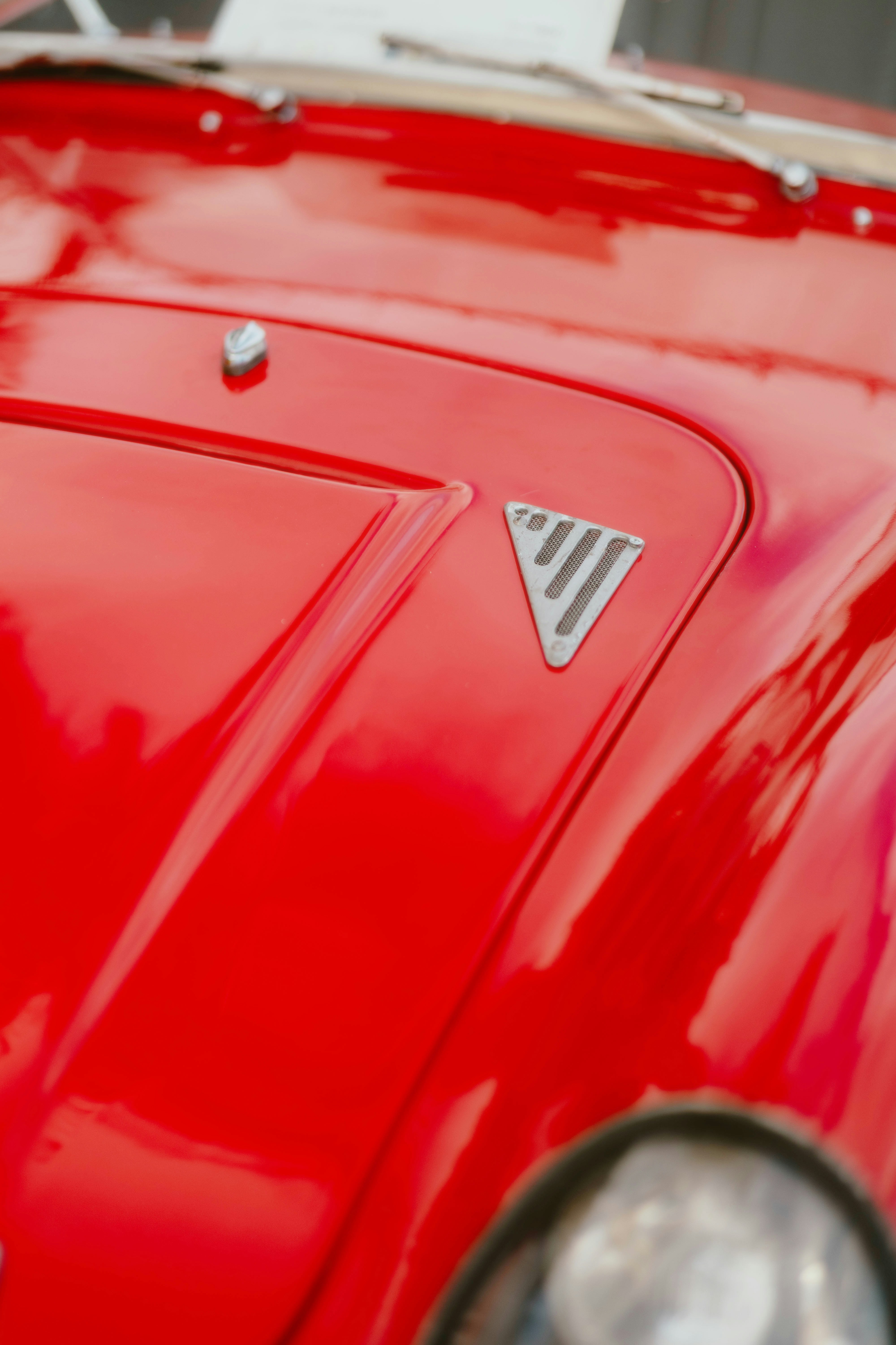 Photo by alingavriliuc