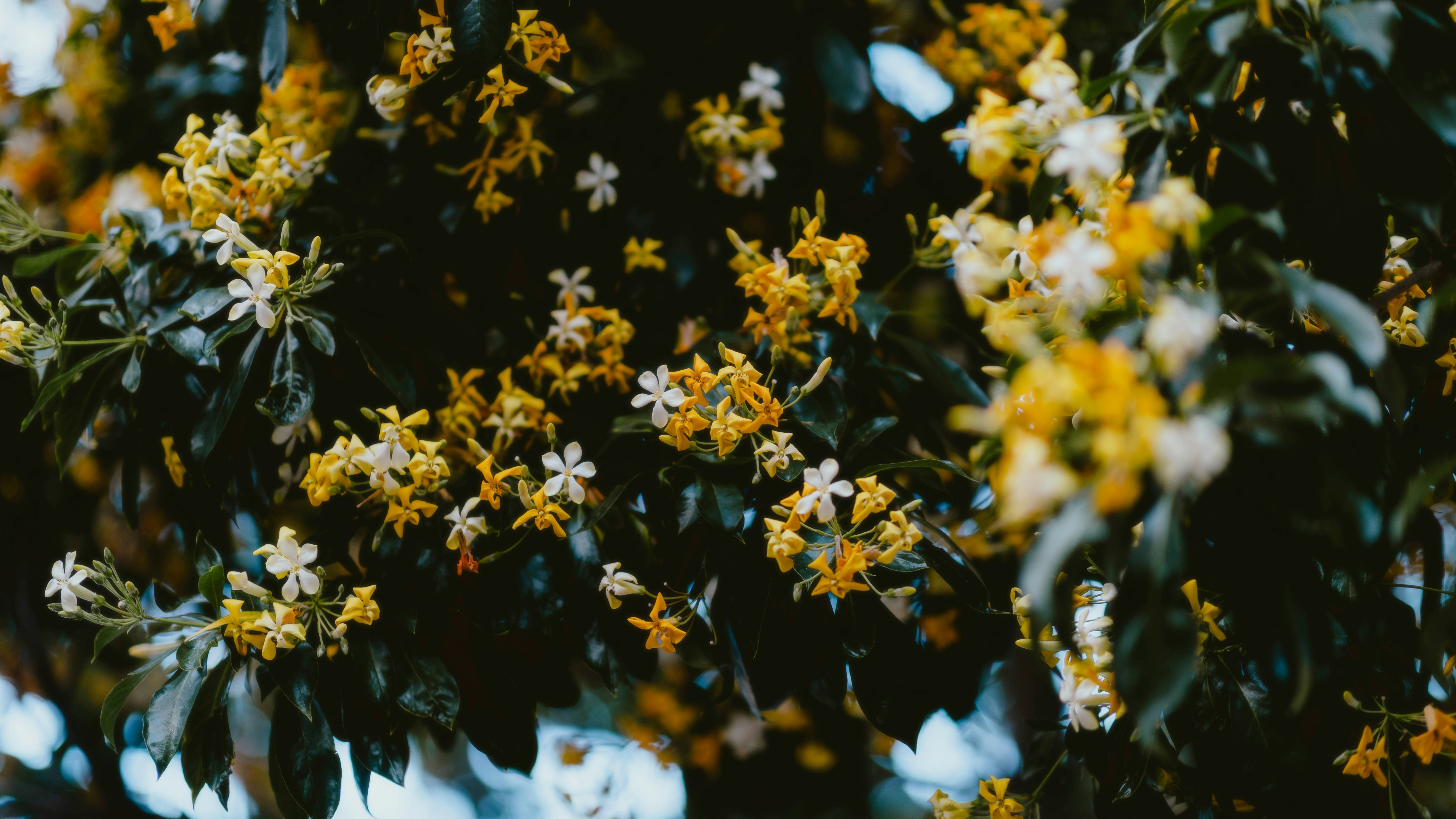 Photo by alingavriliuc