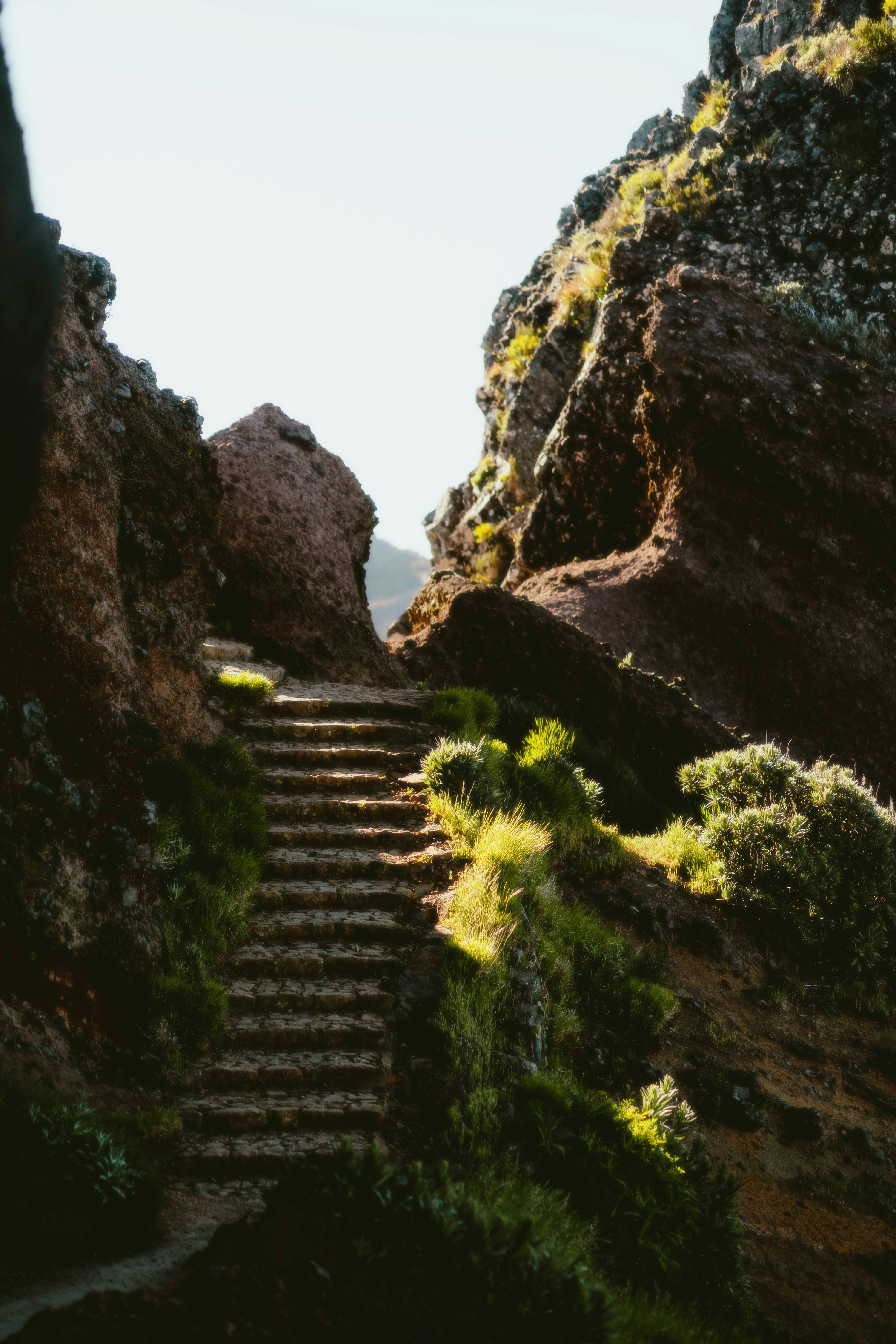 Photo by alingavriliuc