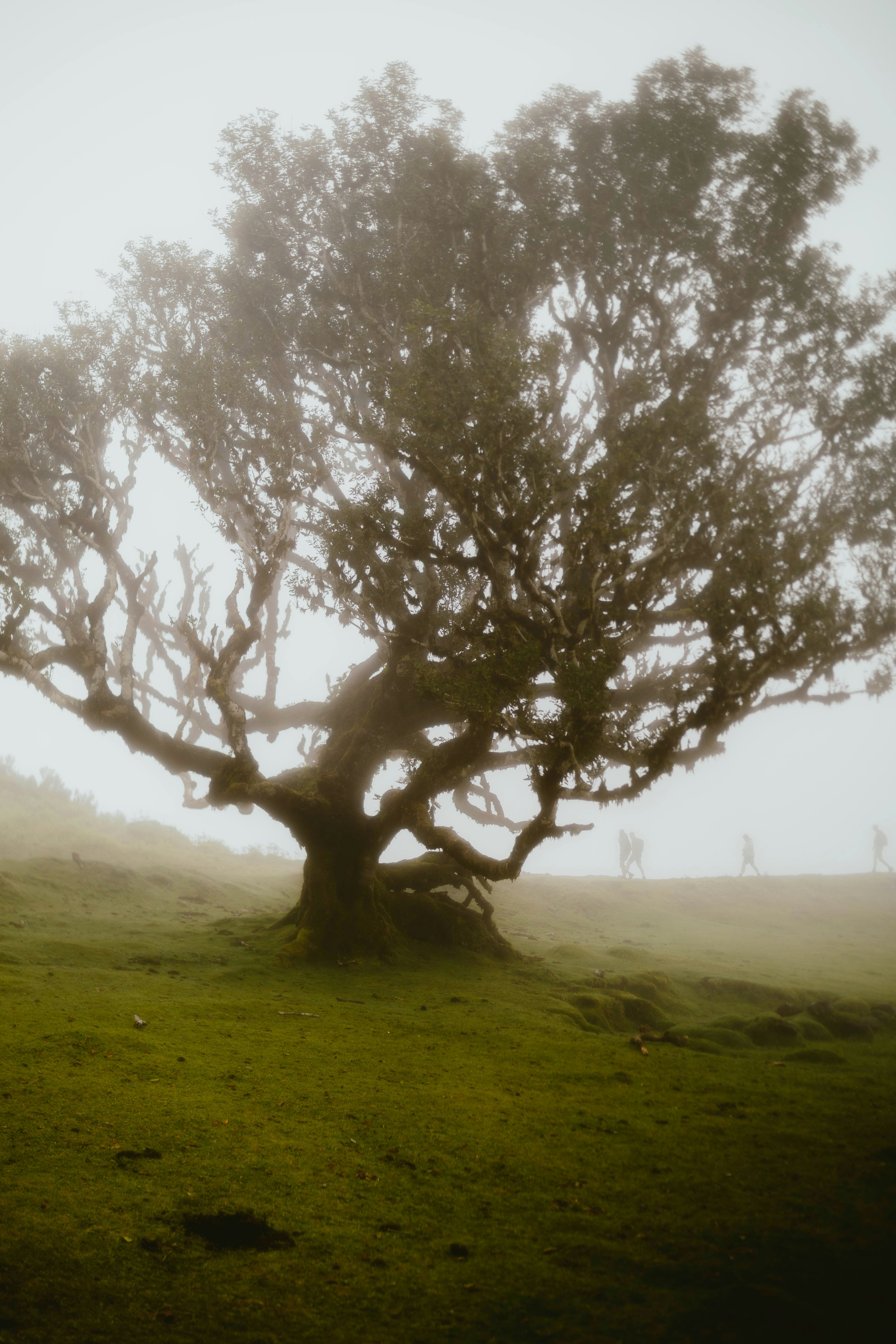 Photo by alingavriliuc