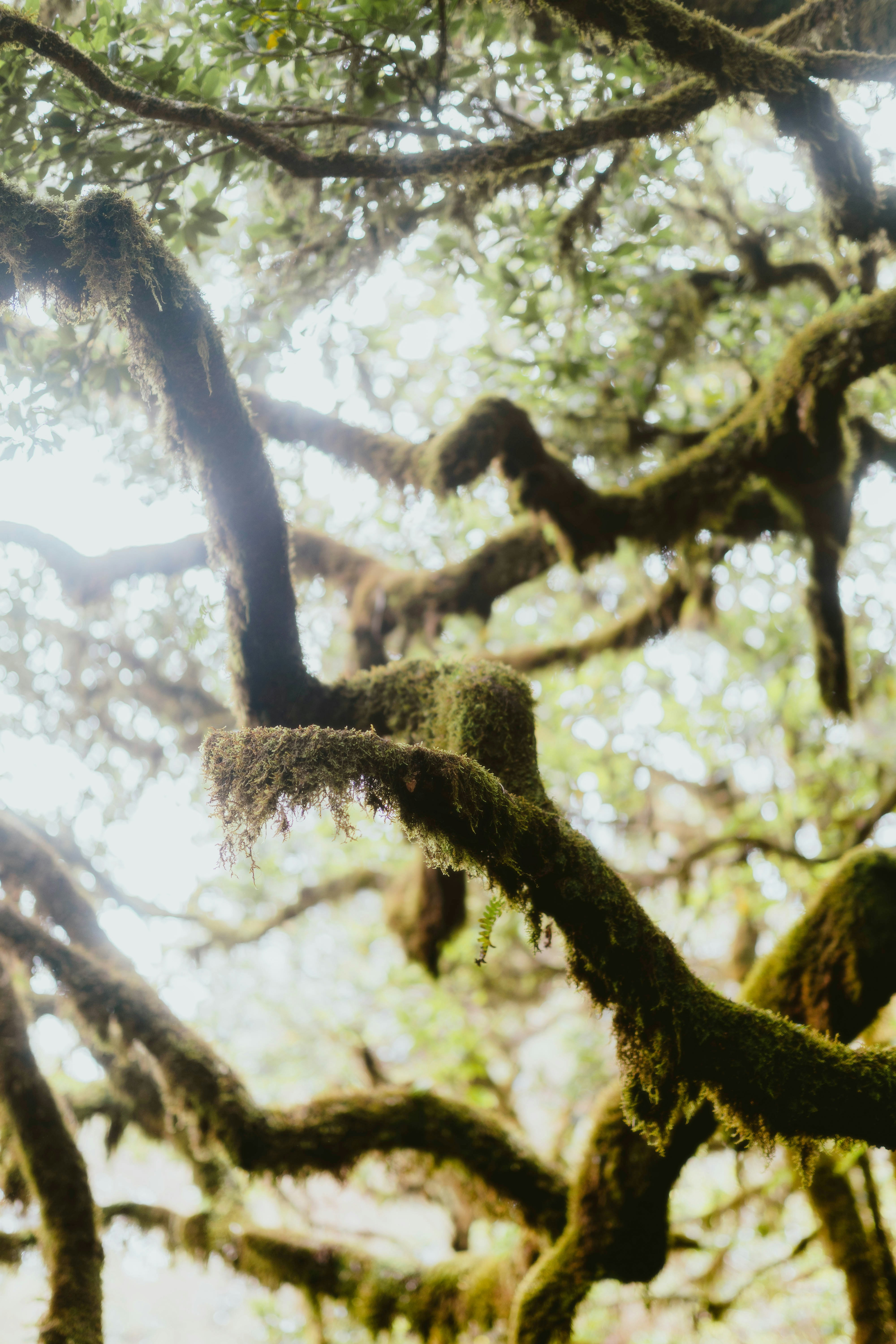 Photo by alingavriliuc