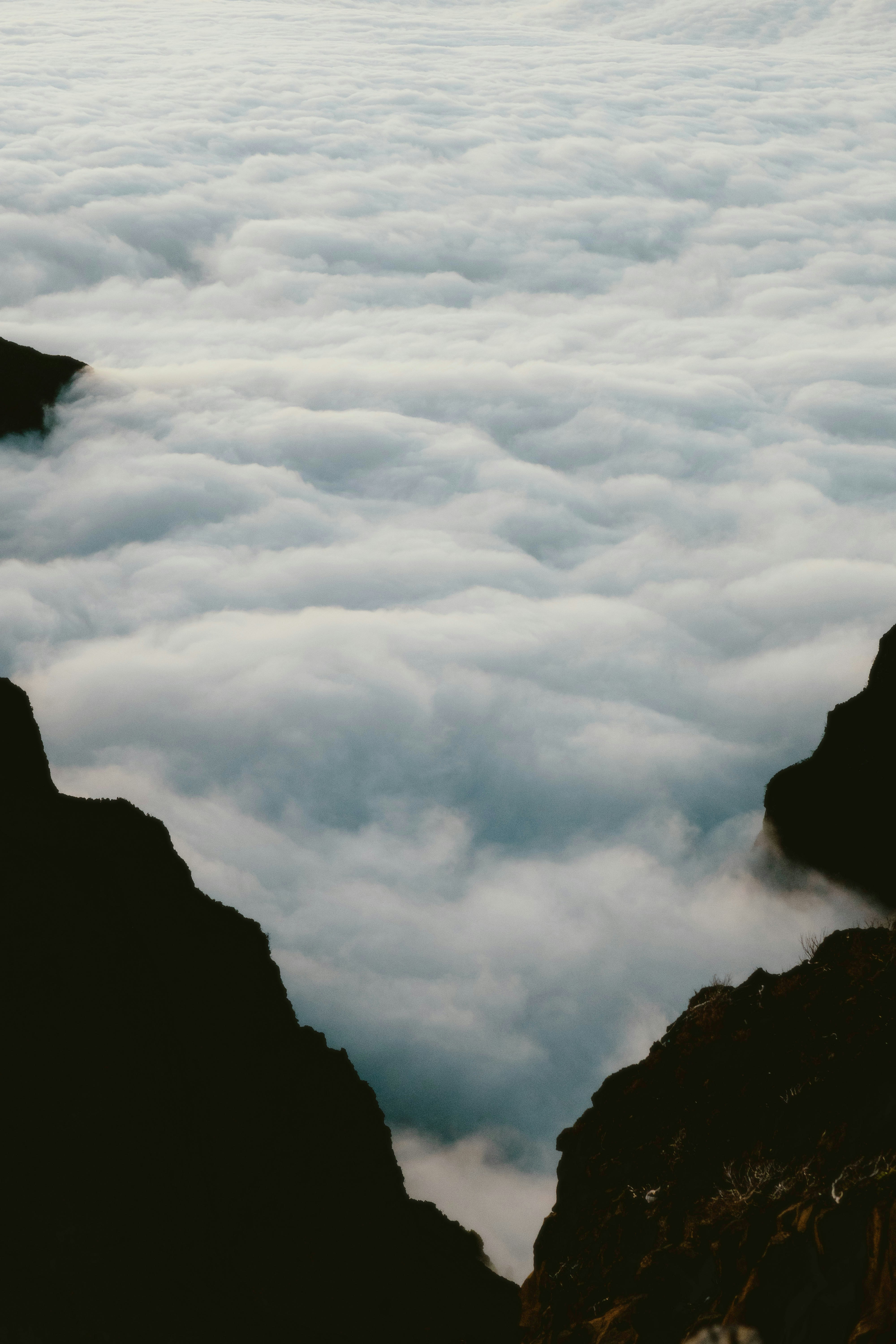 Photo by alingavriliuc