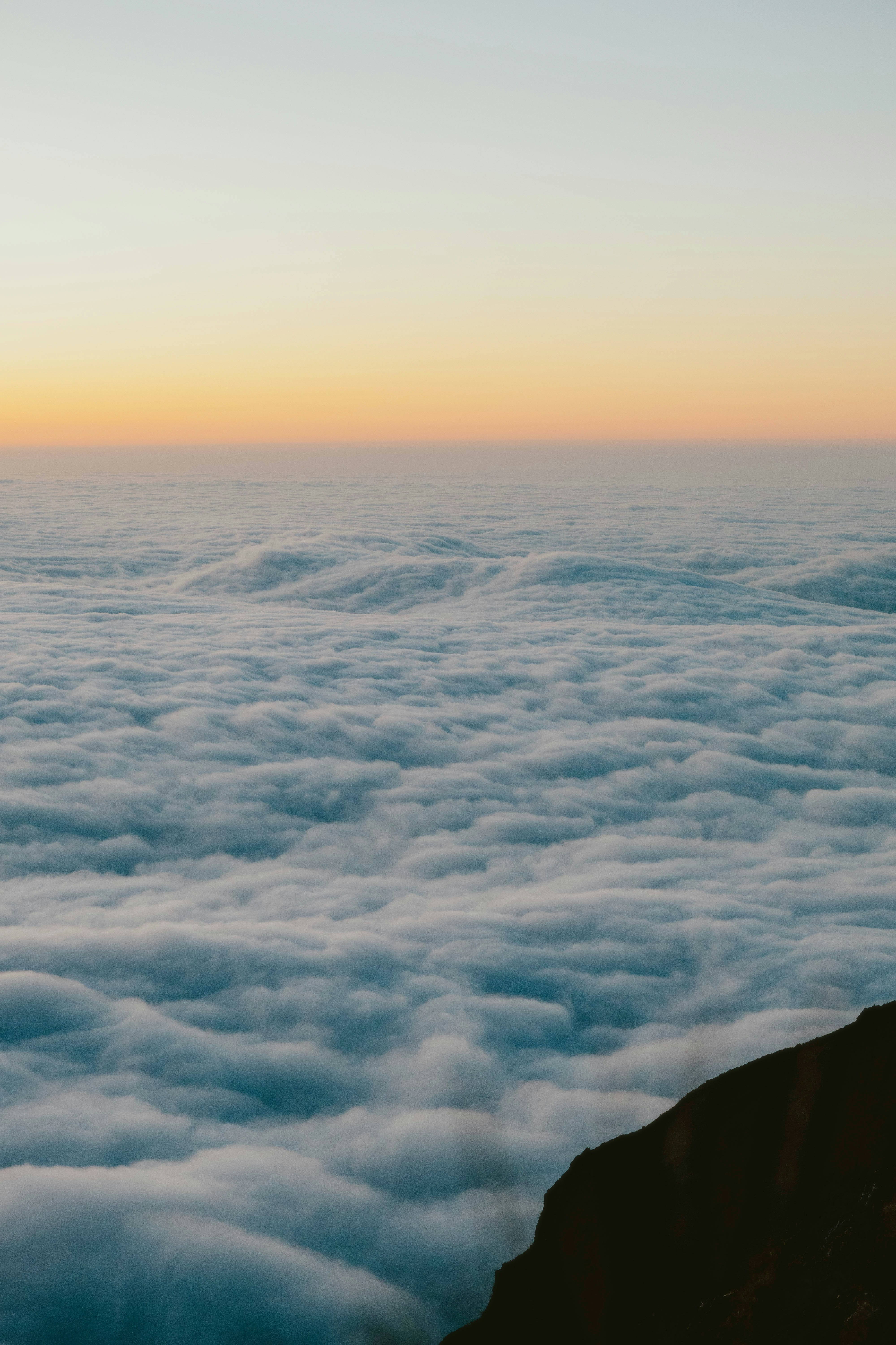 Photo by alingavriliuc