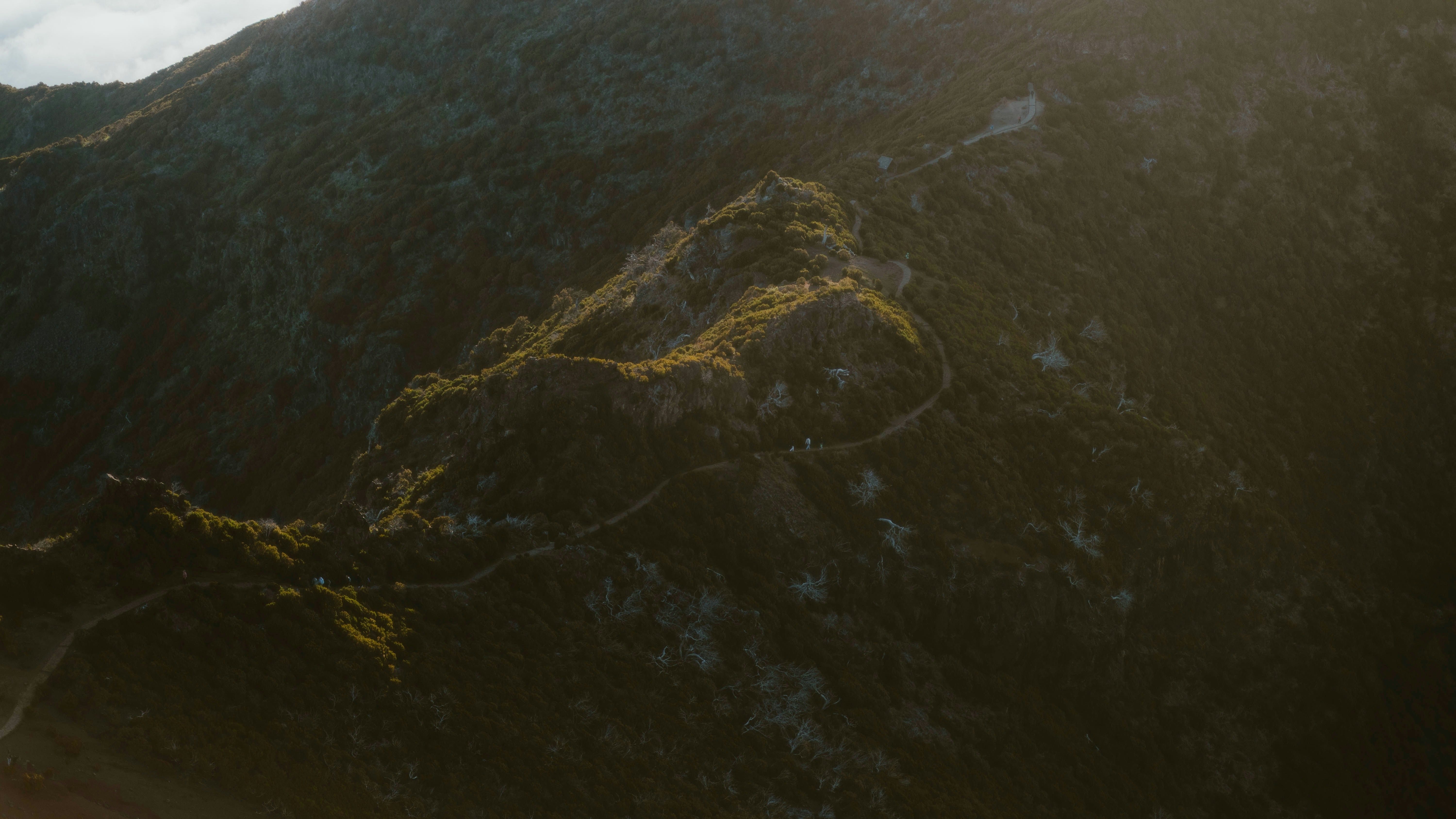 Photo by alingavriliuc