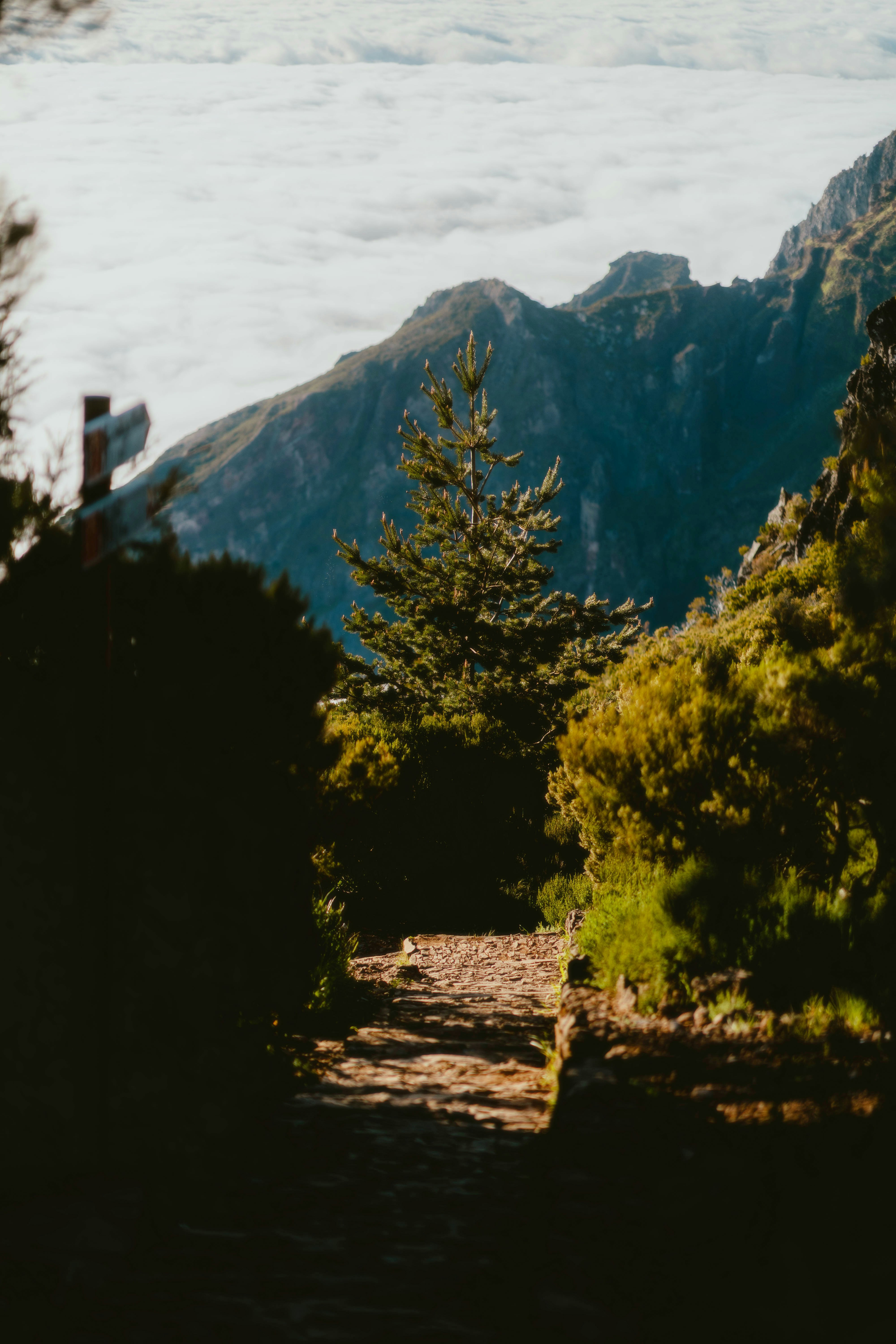 Photo by alingavriliuc