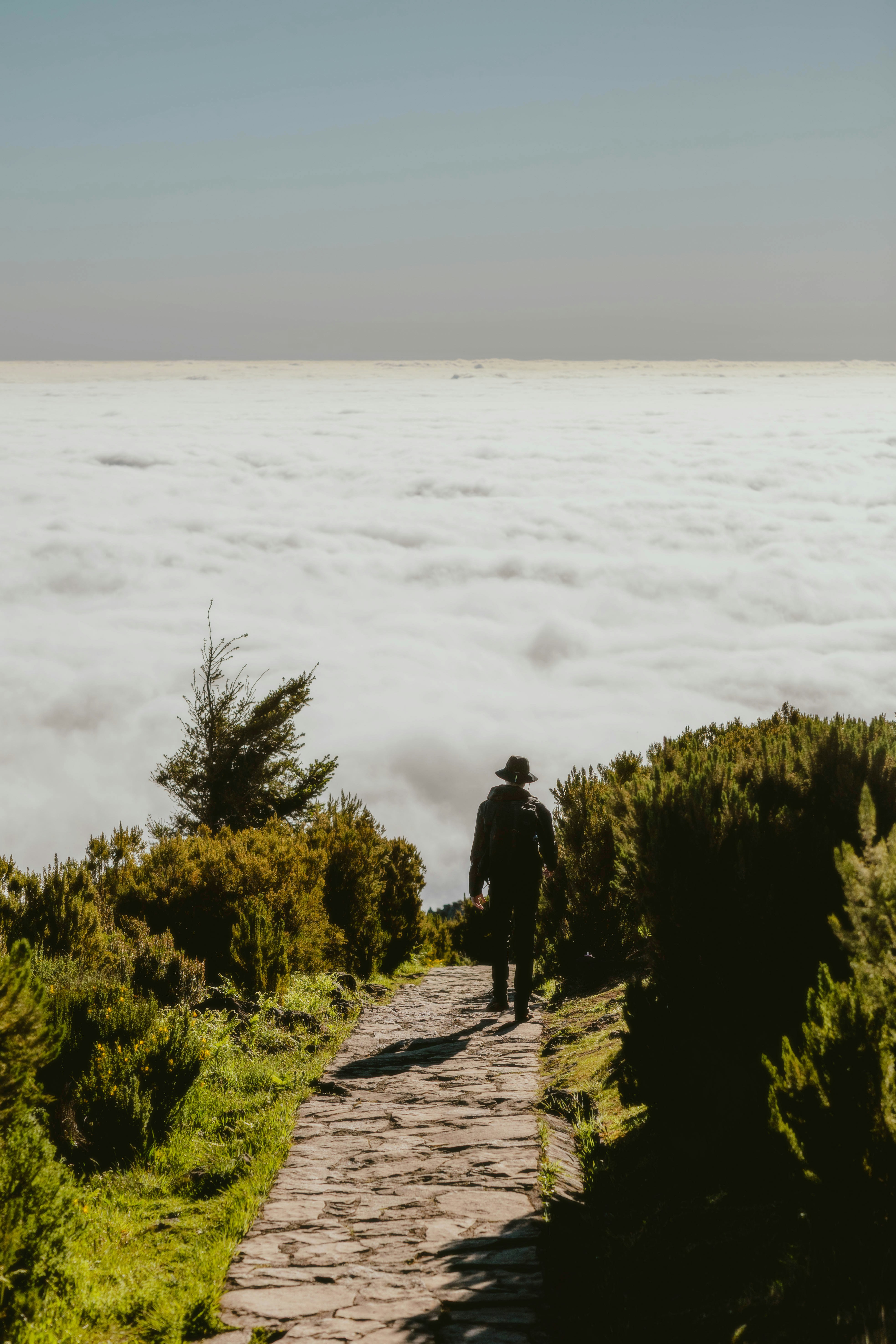 Photo by alingavriliuc