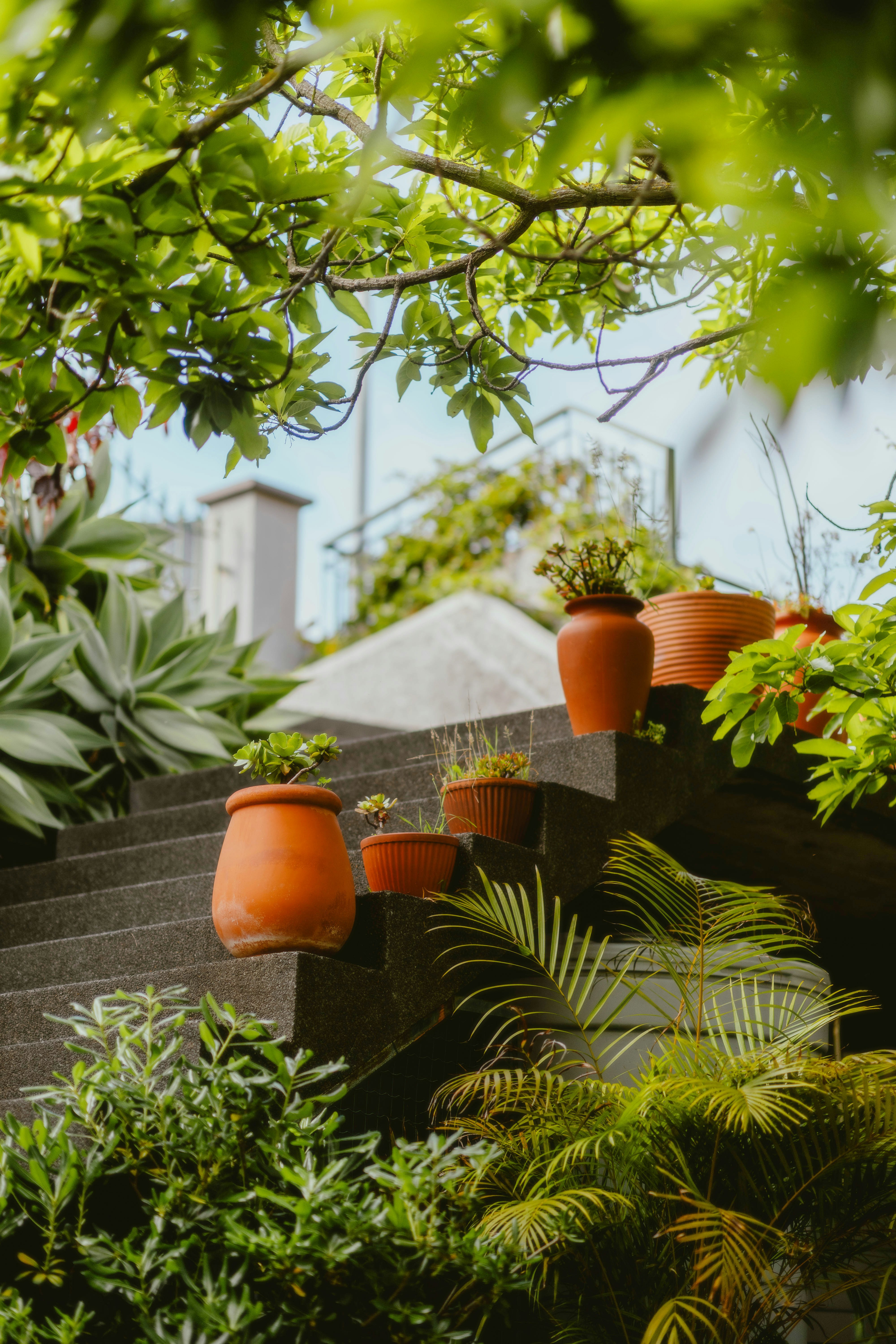 Photo by alingavriliuc