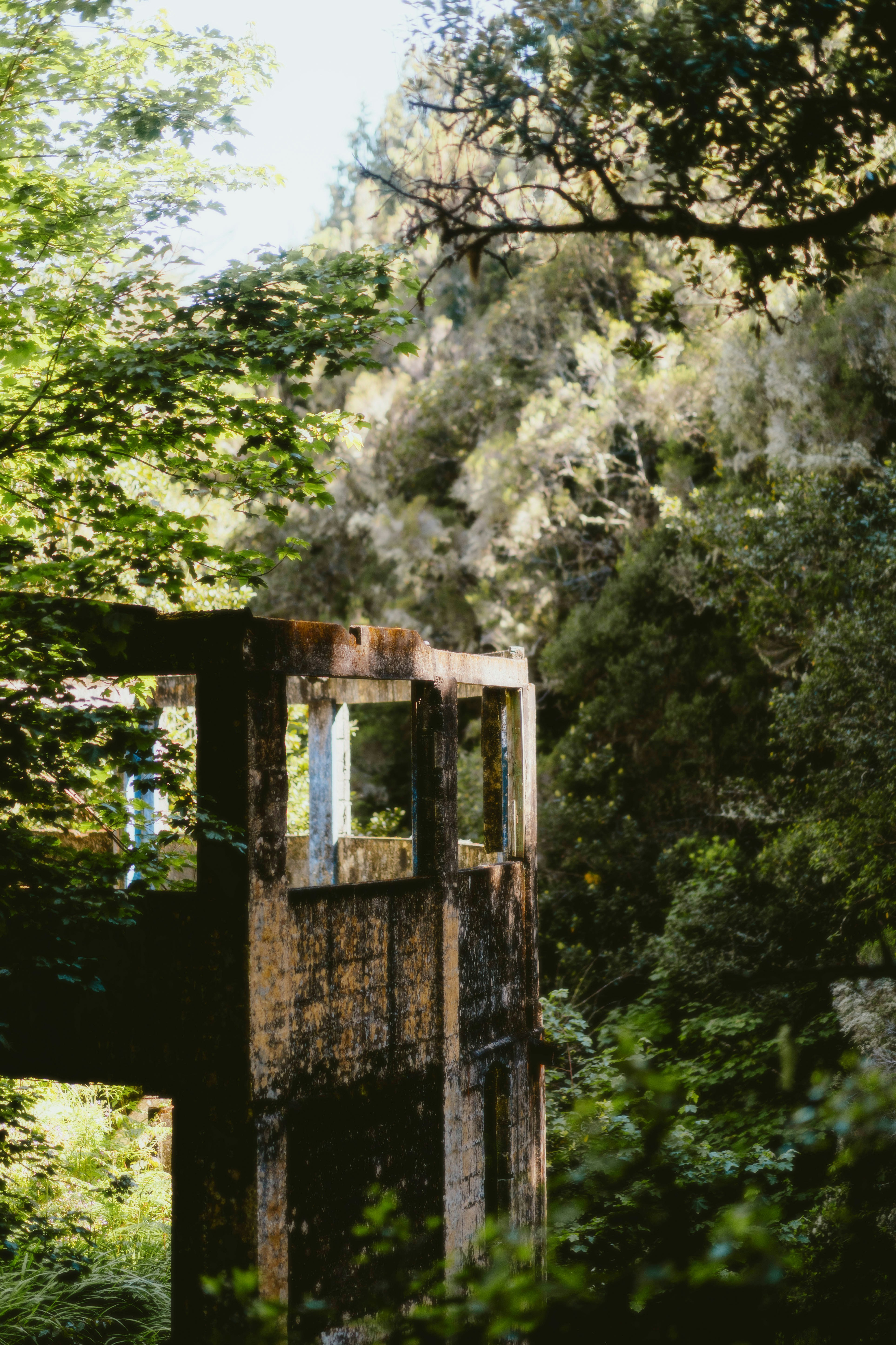 Photo by alingavriliuc