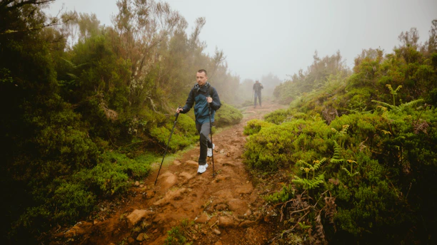 People hike along a muddy trail in the forest.