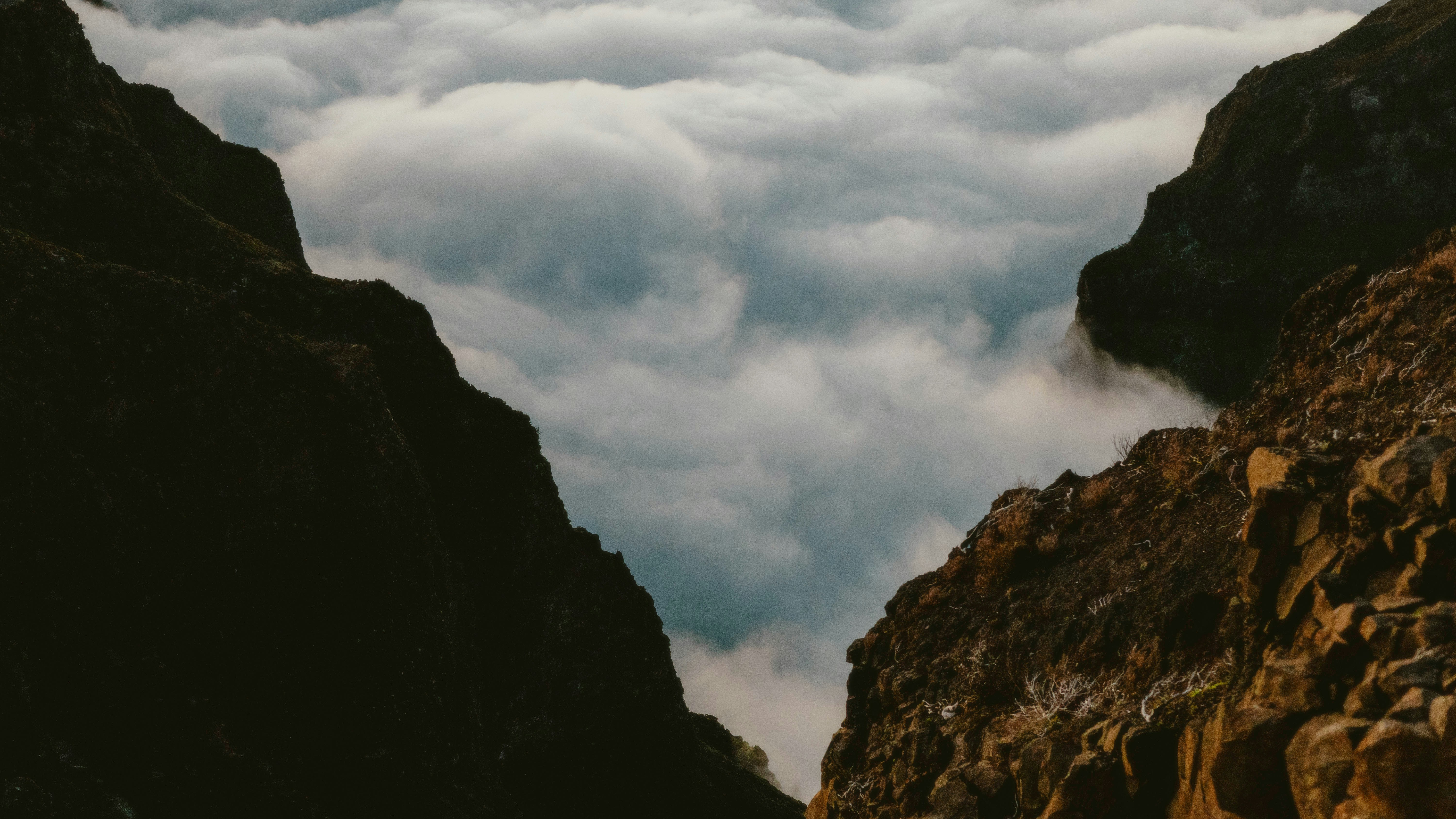 Photo by alingavriliuc