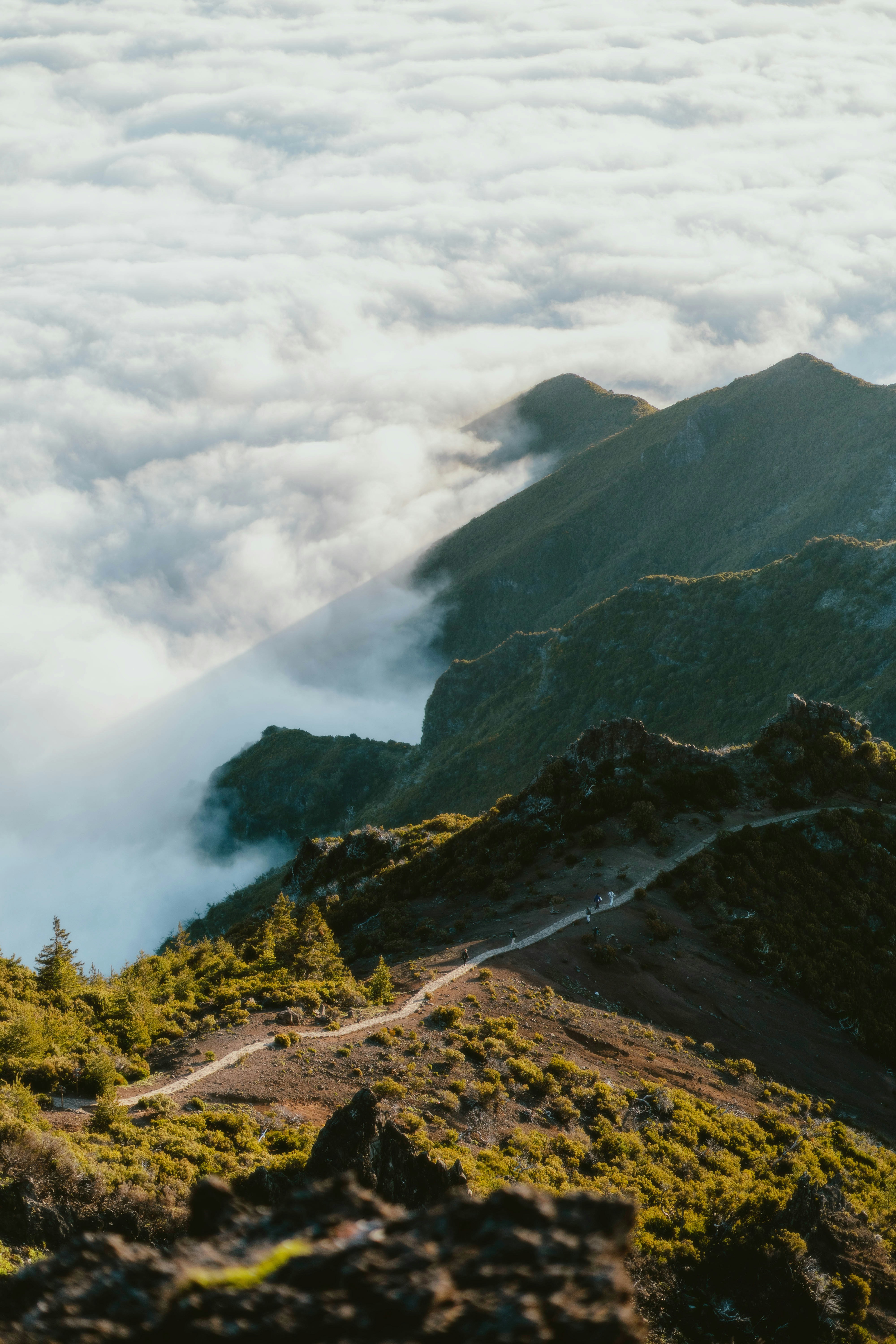 Photo by alingavriliuc