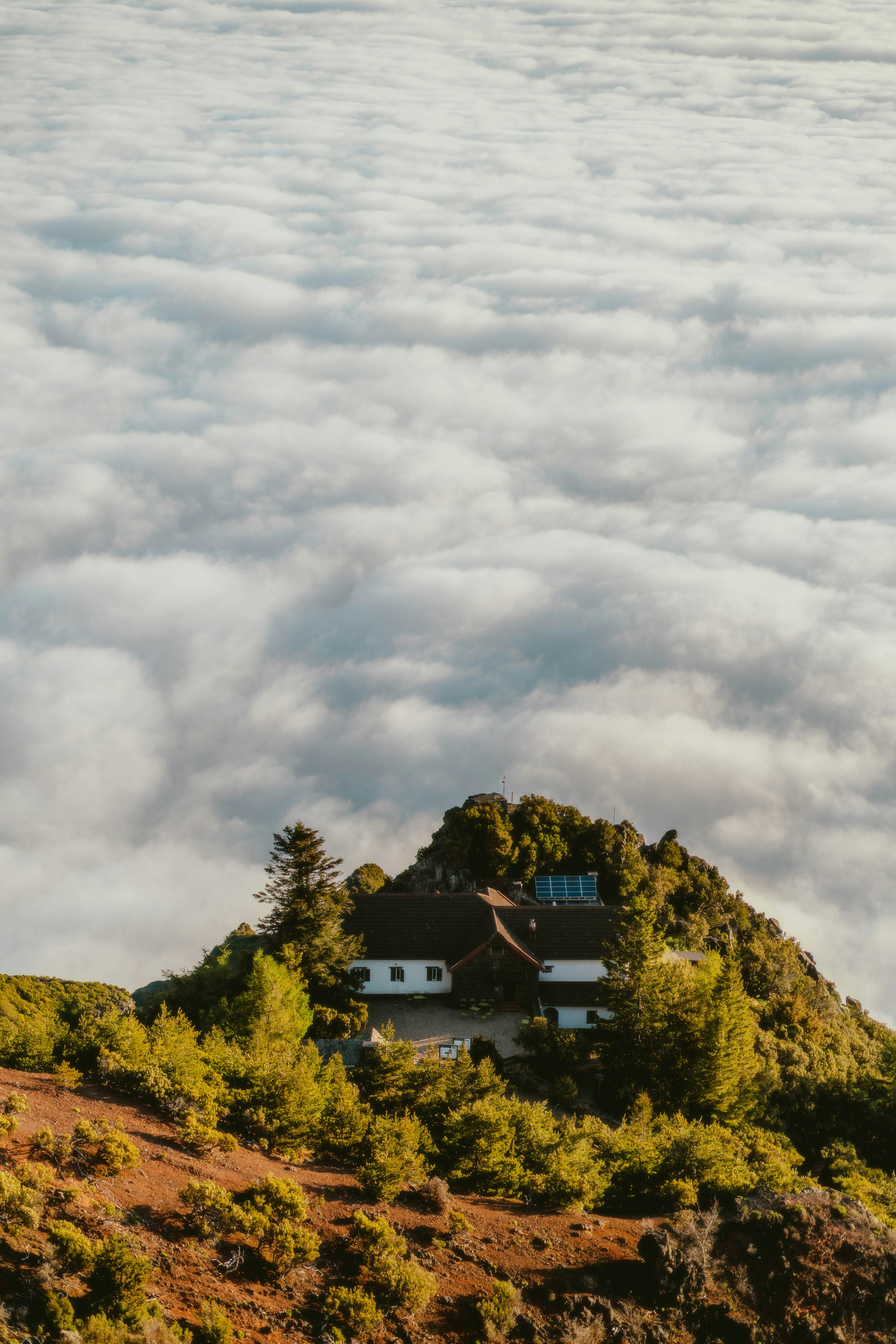 Photo by alingavriliuc