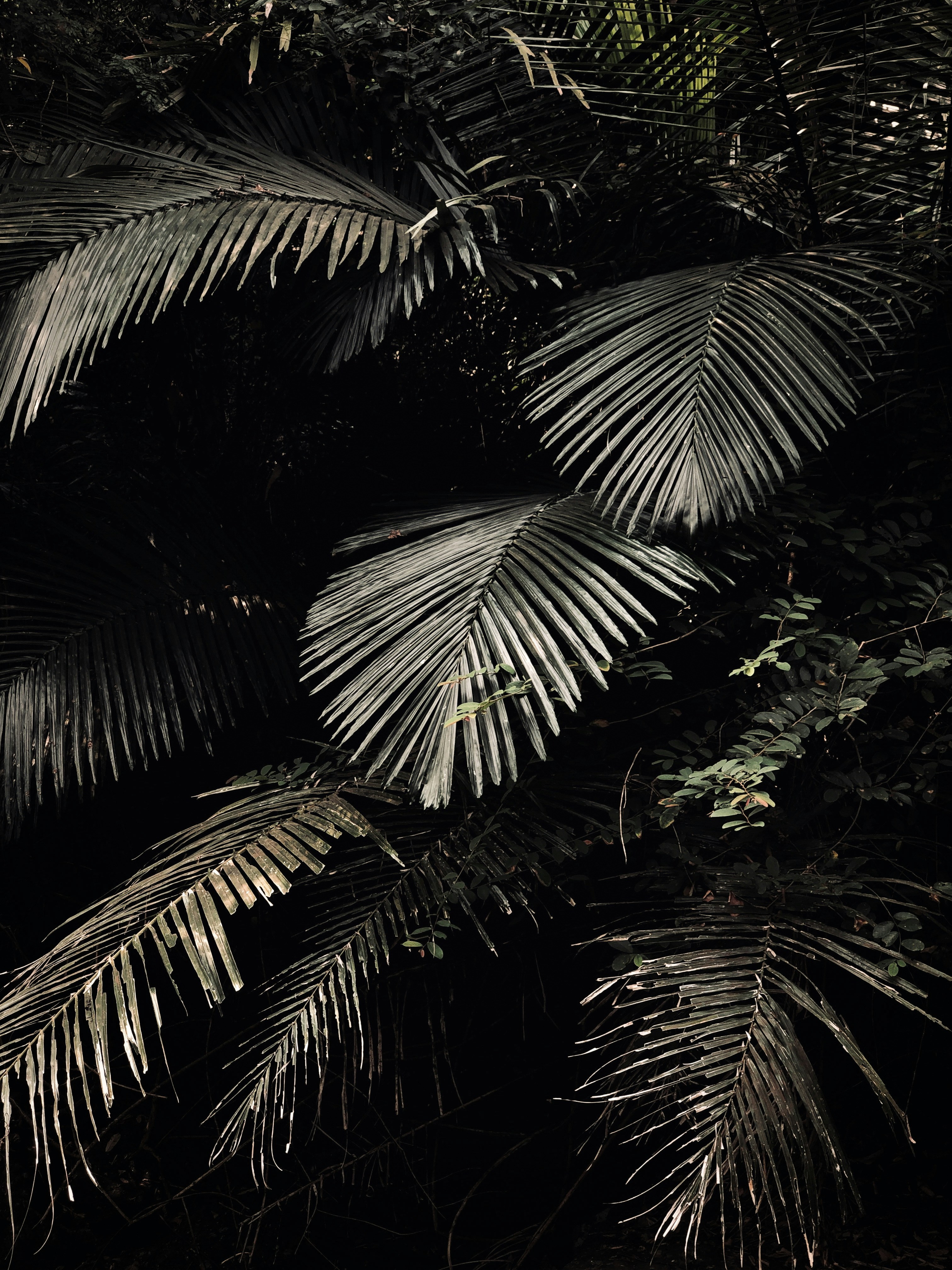 Photo by niyasmuhammedkt