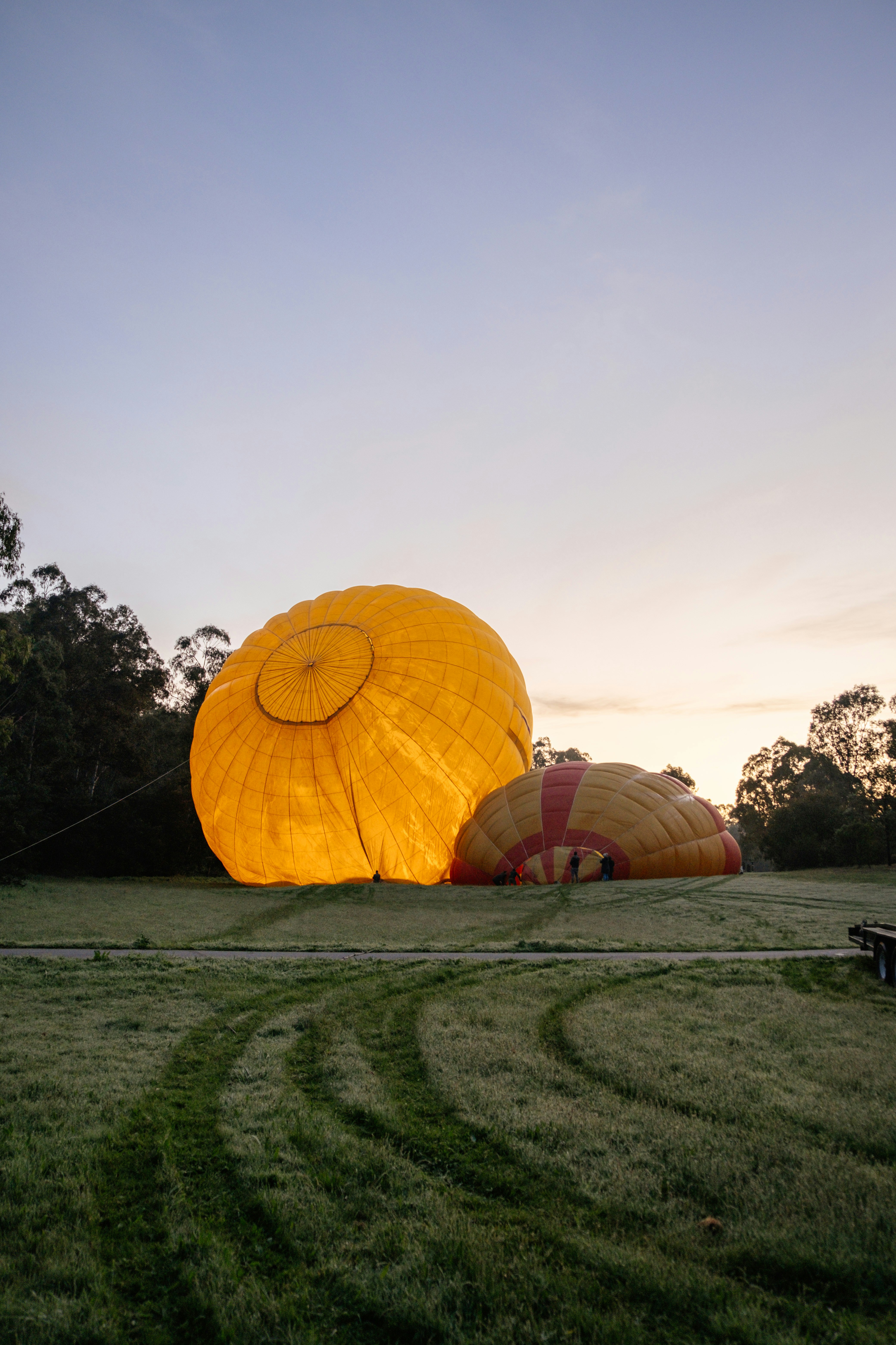 Hot air balloons are being prepared at dawn.