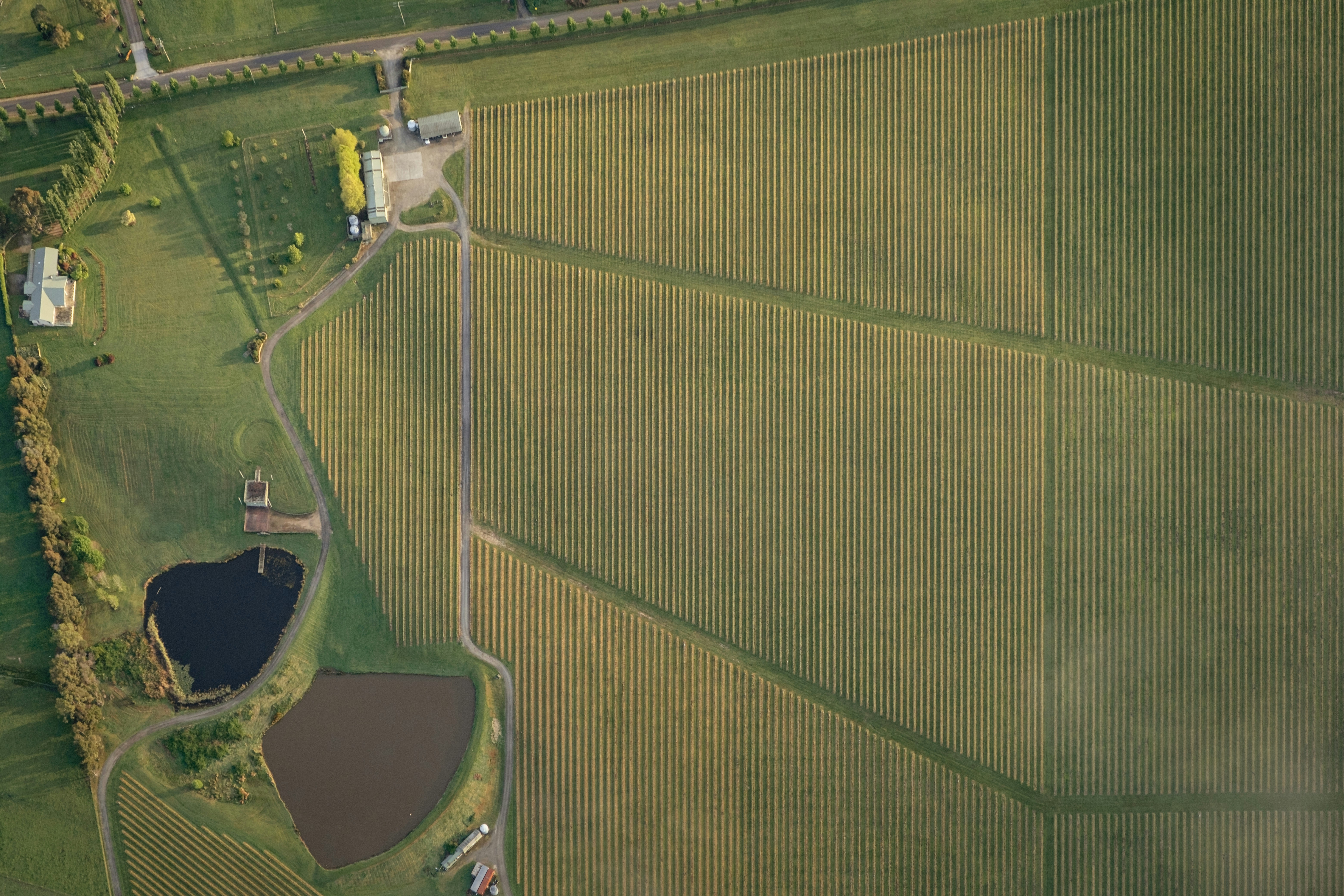 Photo by johanmouchet