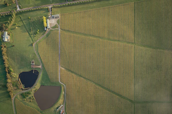 Aerial farmland