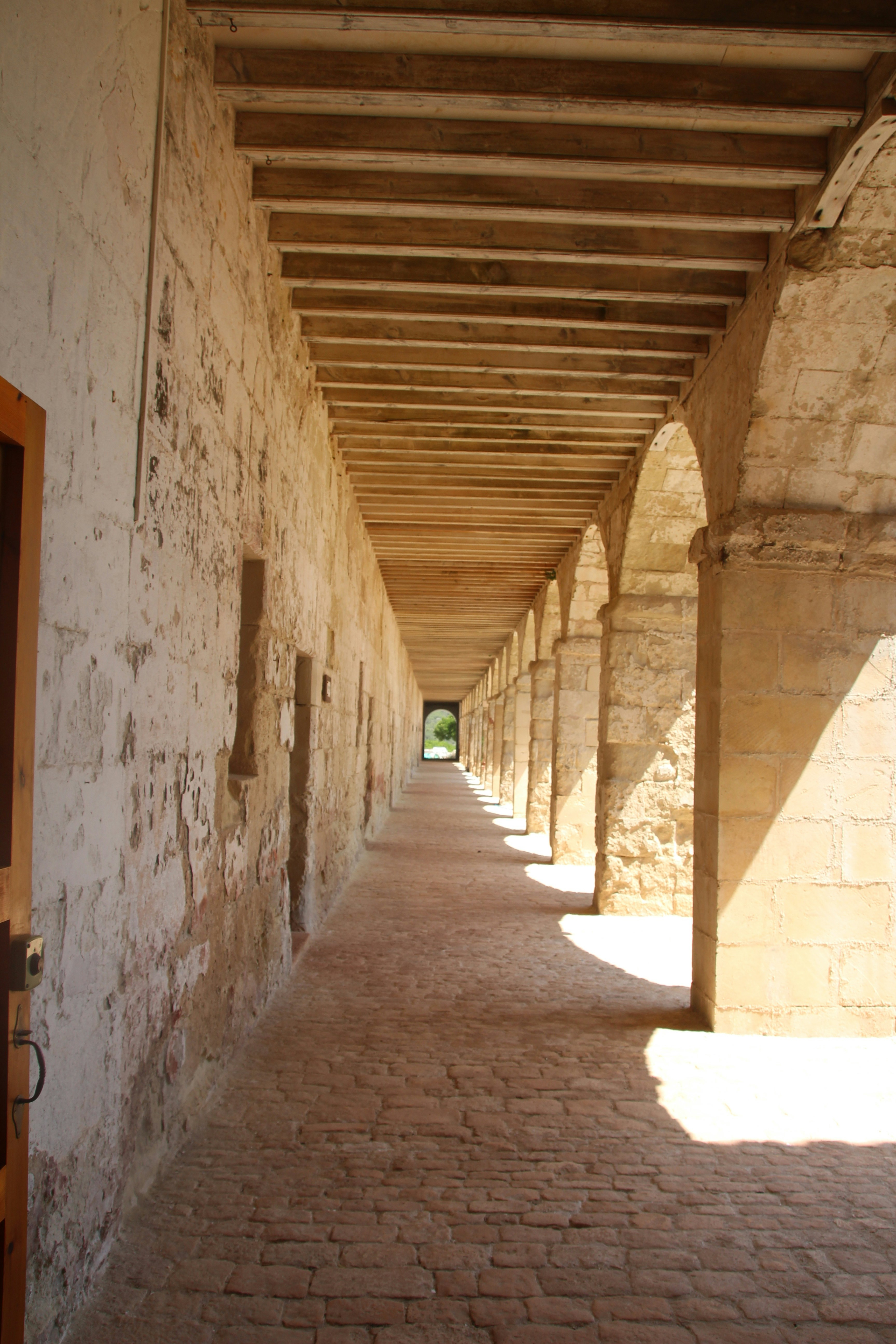 Photo by tanyabarrow