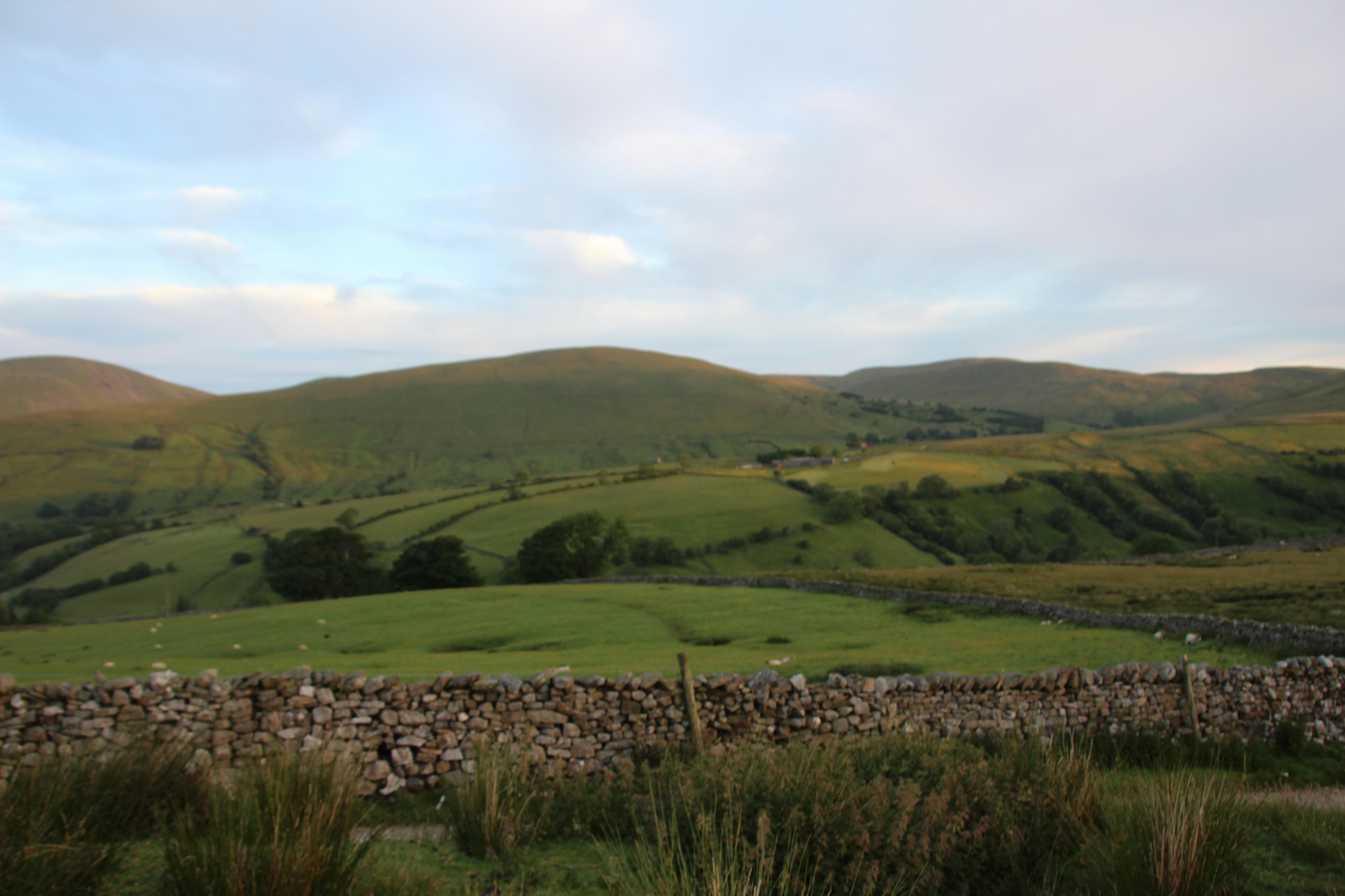 Photo by tanyabarrow