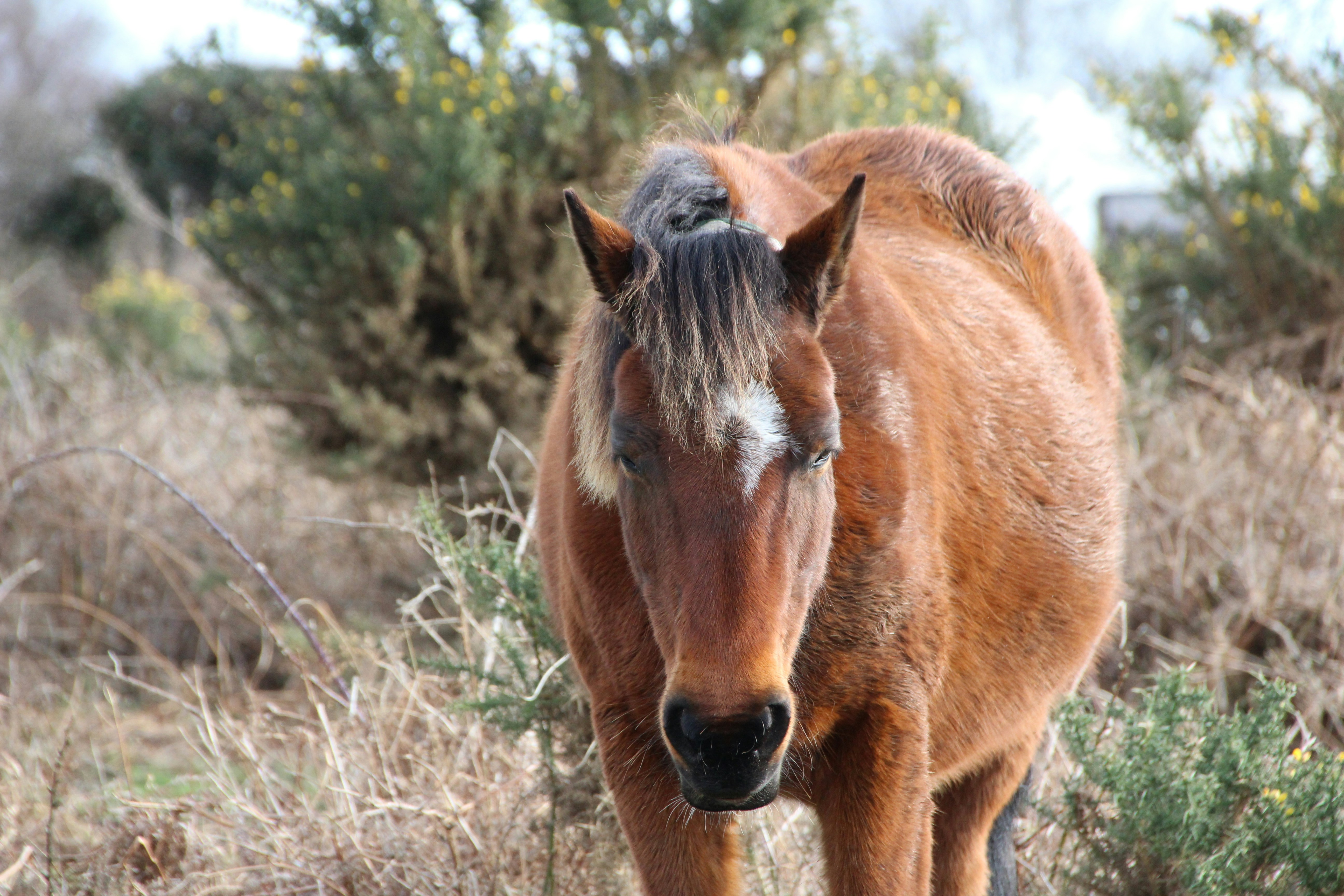 Photo by tanyabarrow