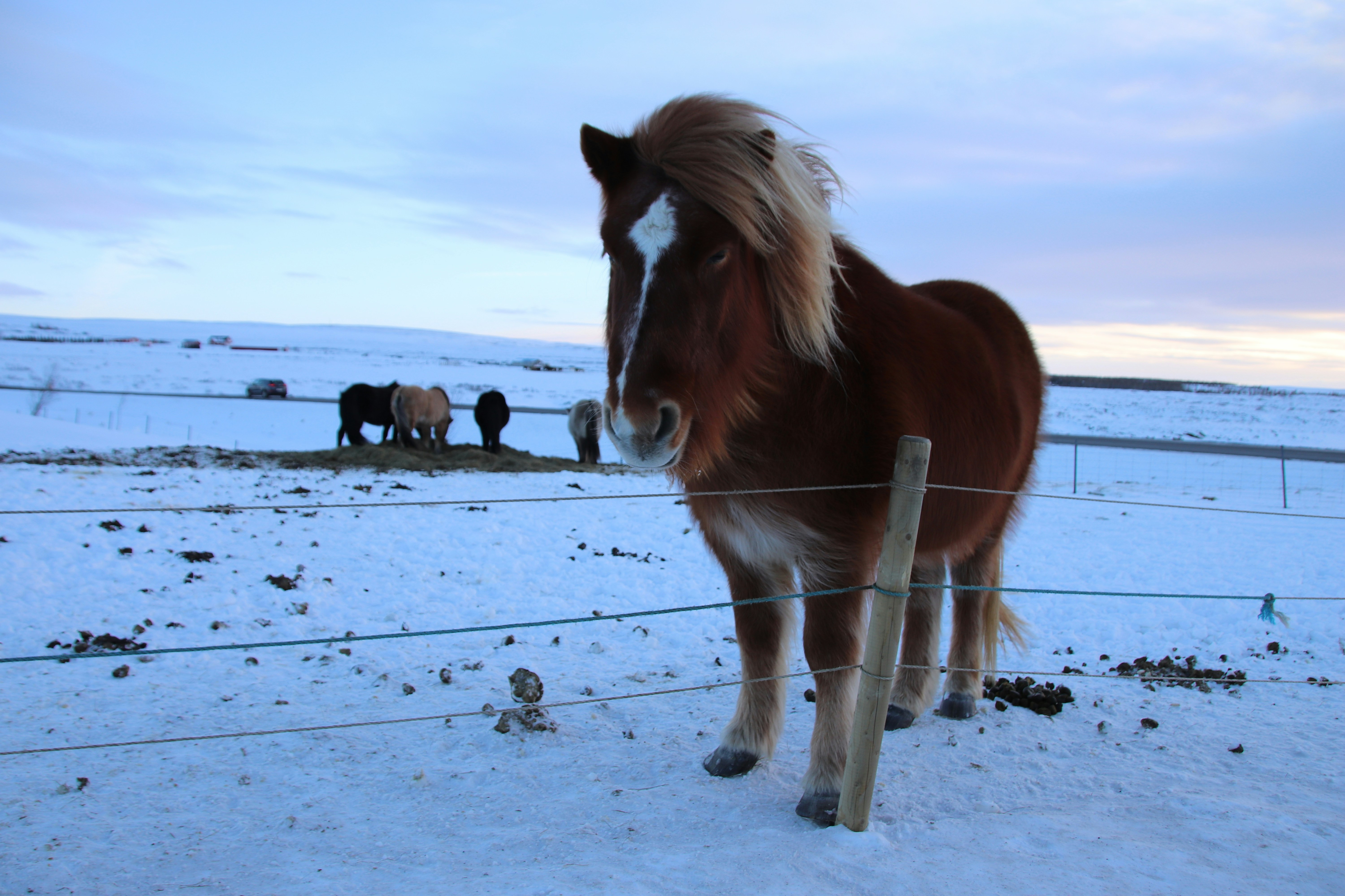 Photo by tanyabarrow