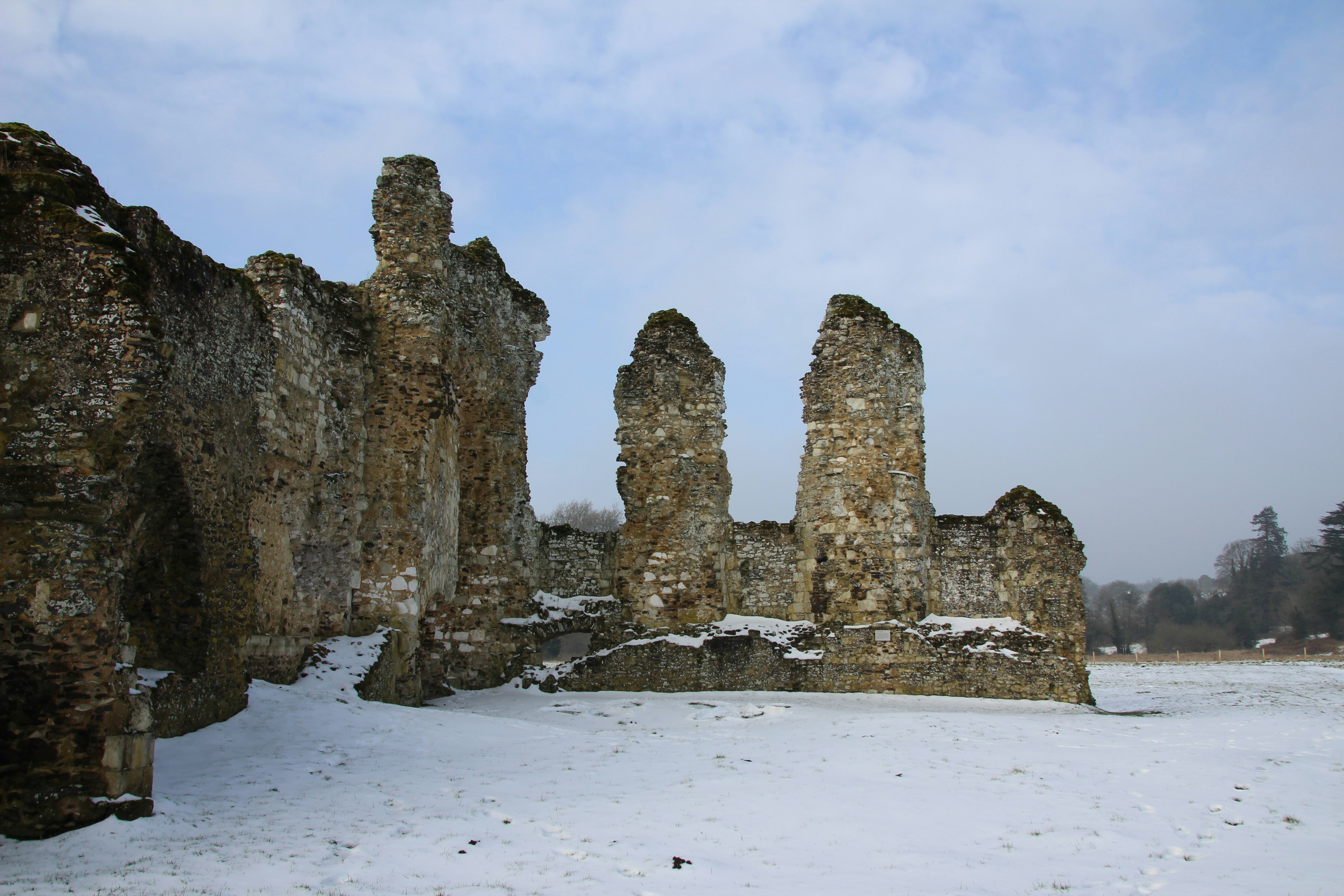 Photo by tanyabarrow