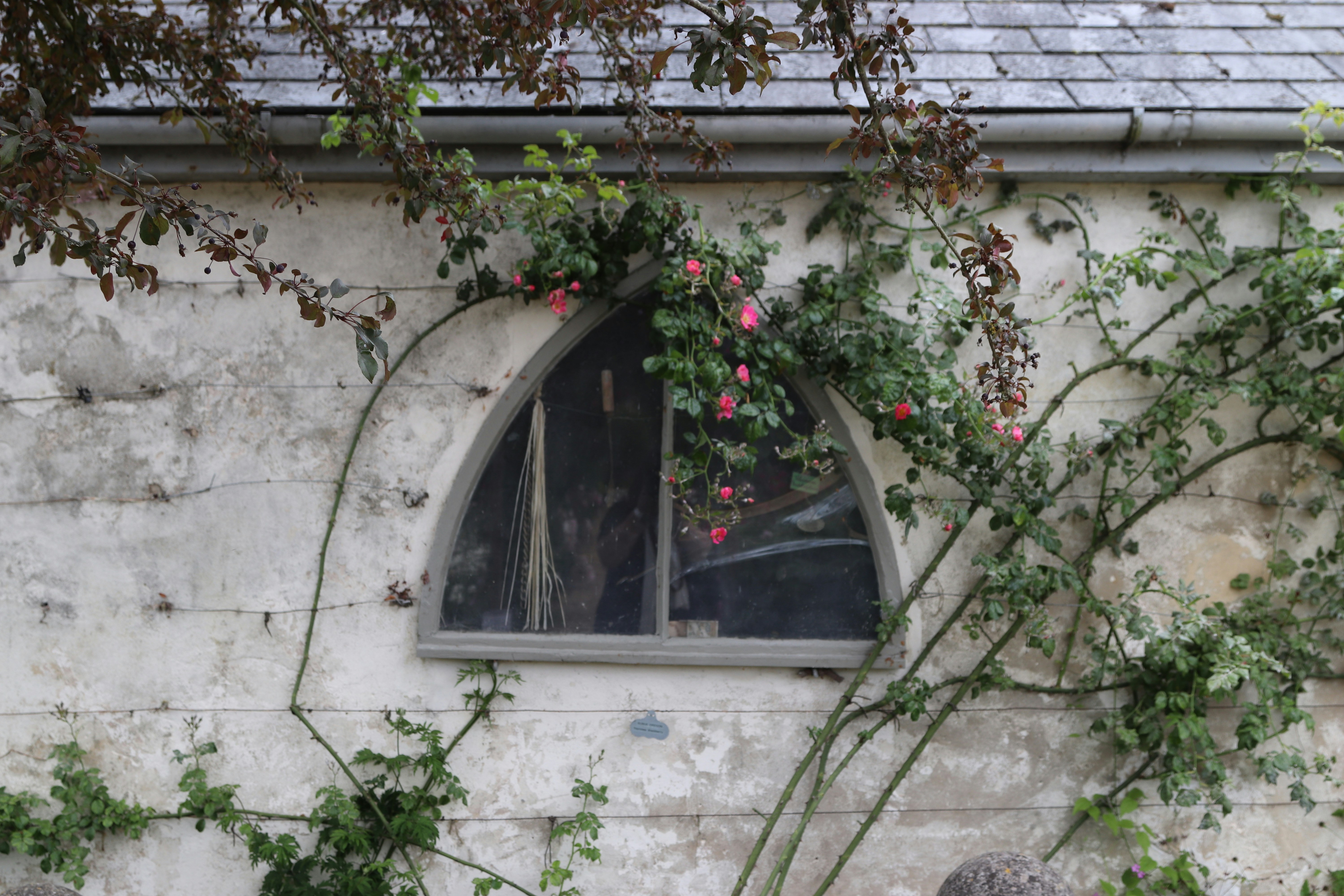 Photo by tanyabarrow