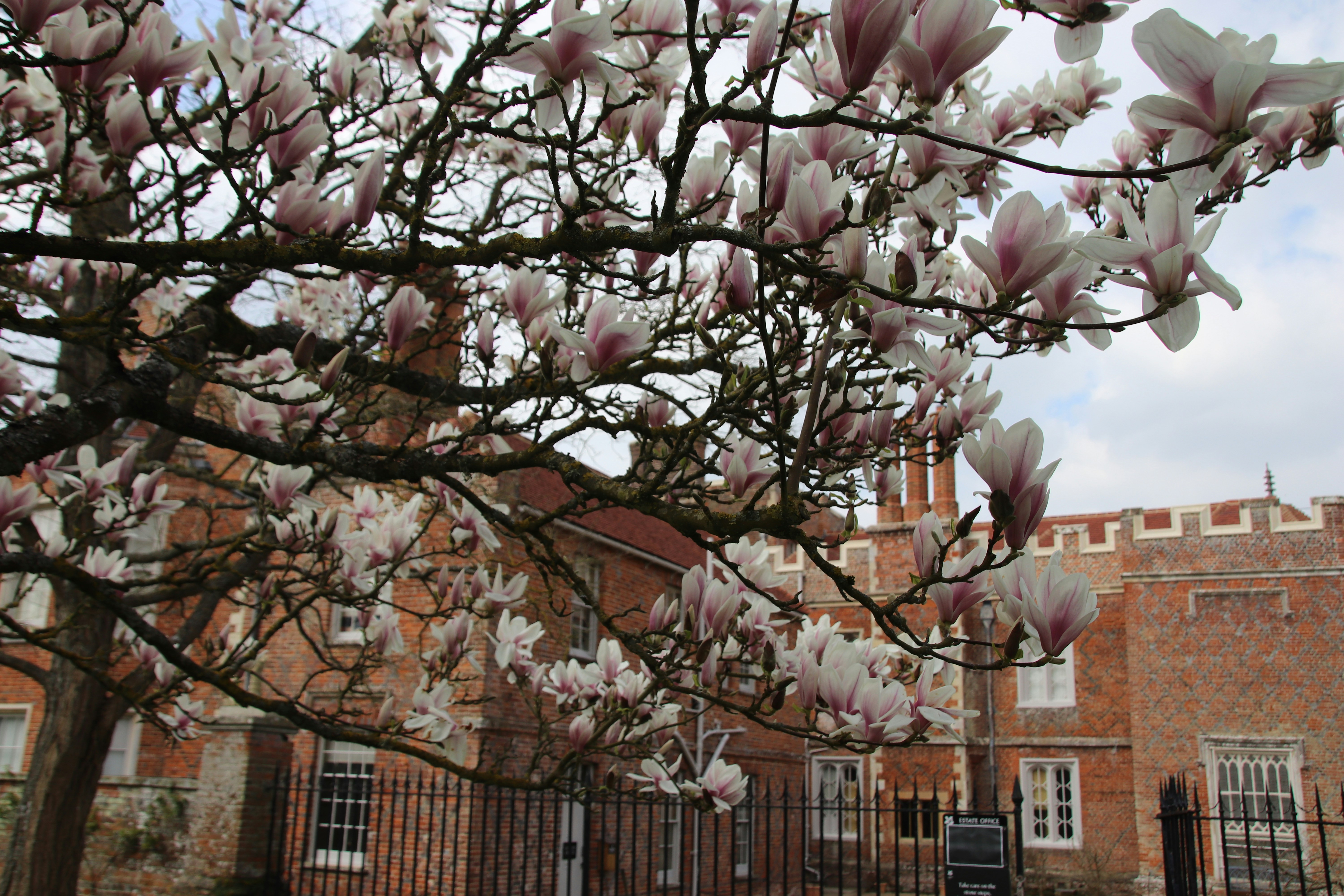 Photo by tanyabarrow