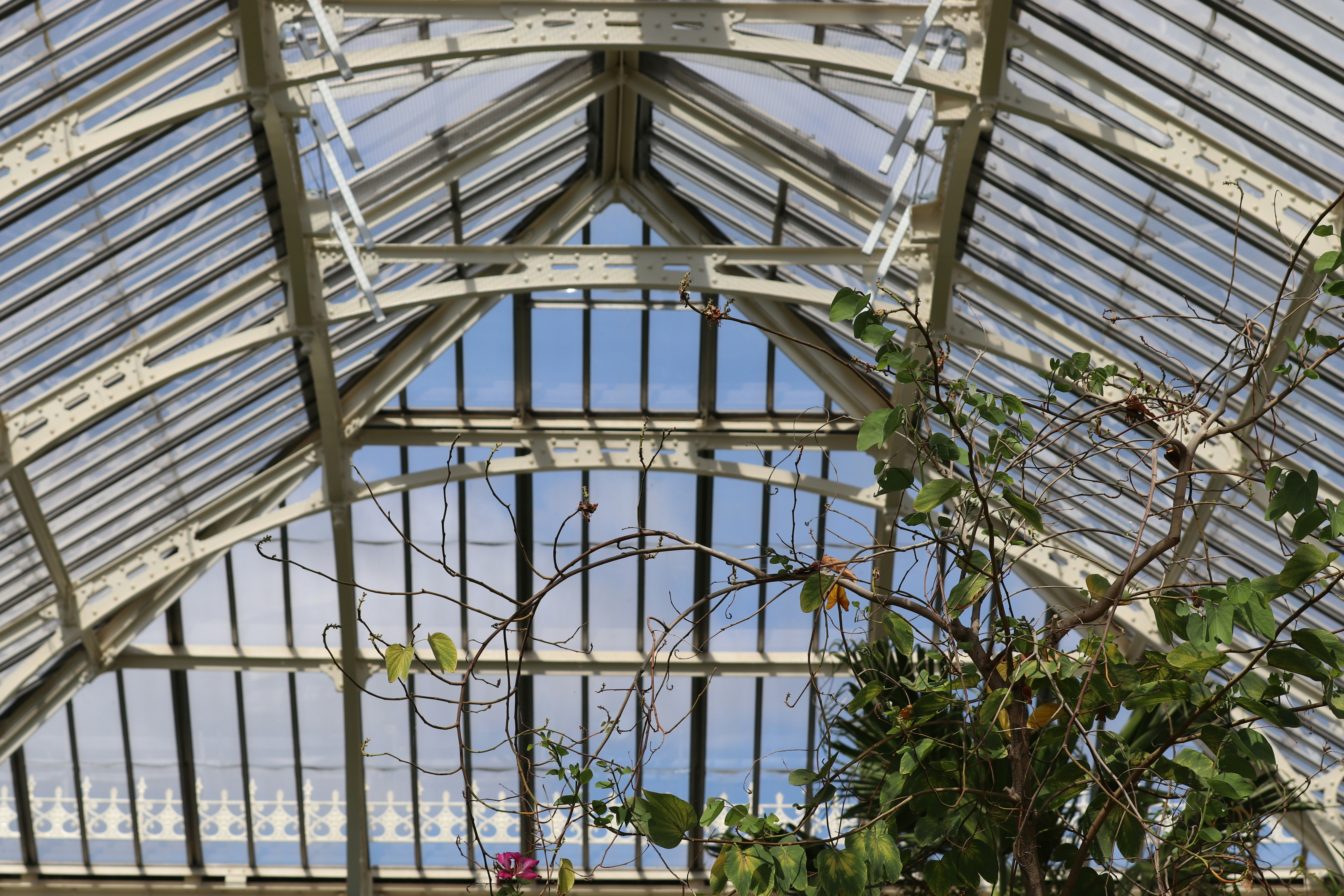 Photo by tanyabarrow