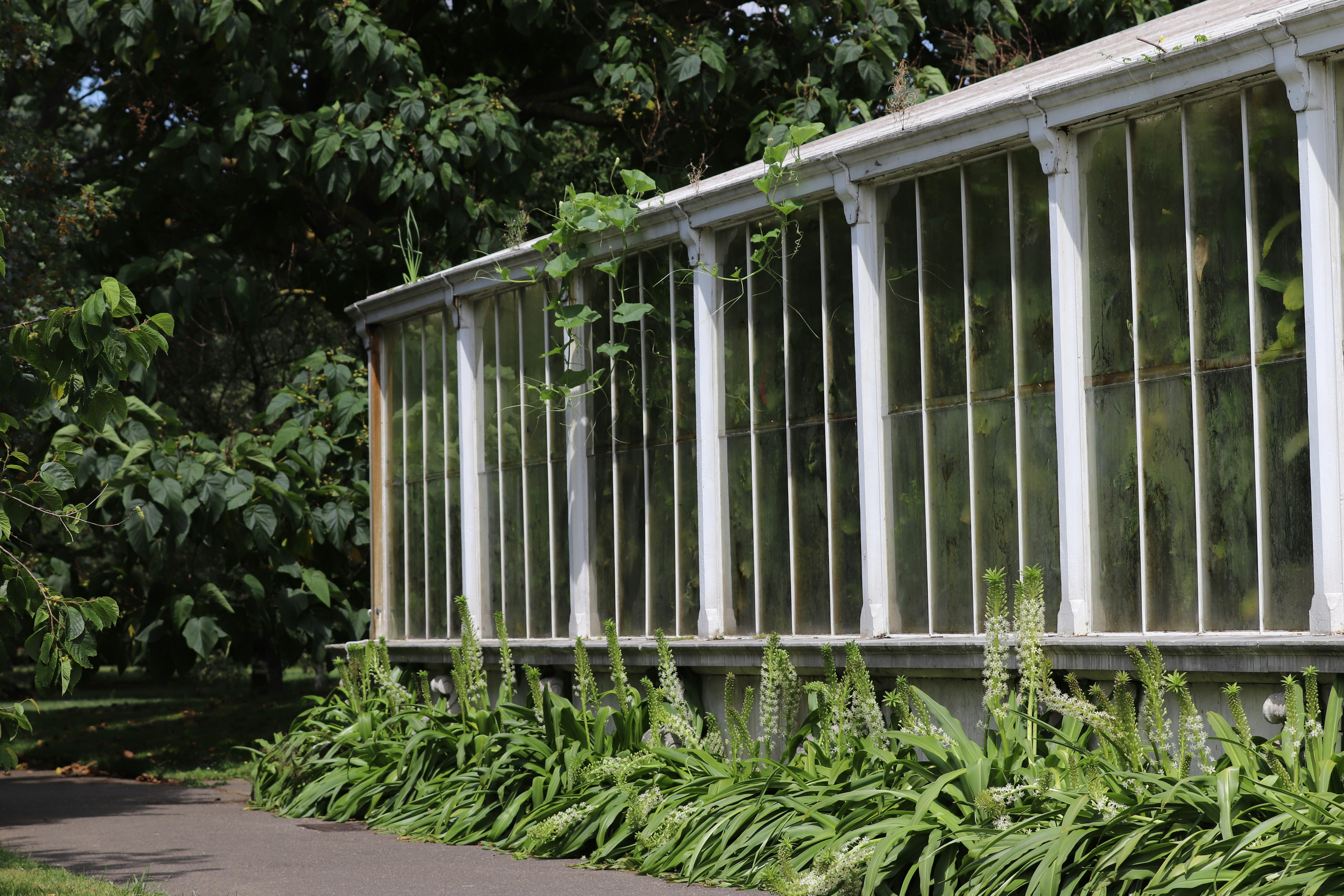 Photo by tanyabarrow