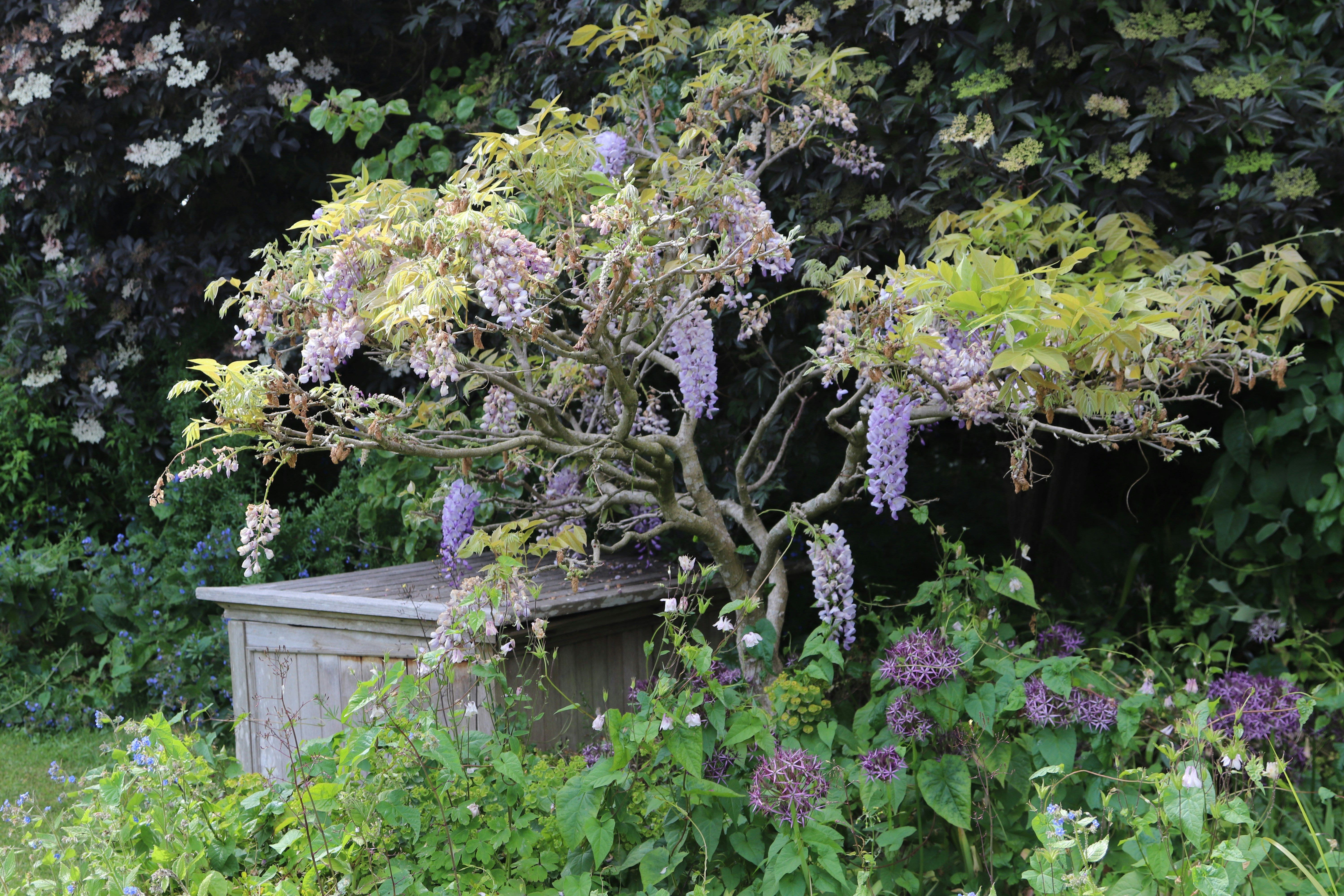 Photo by tanyabarrow