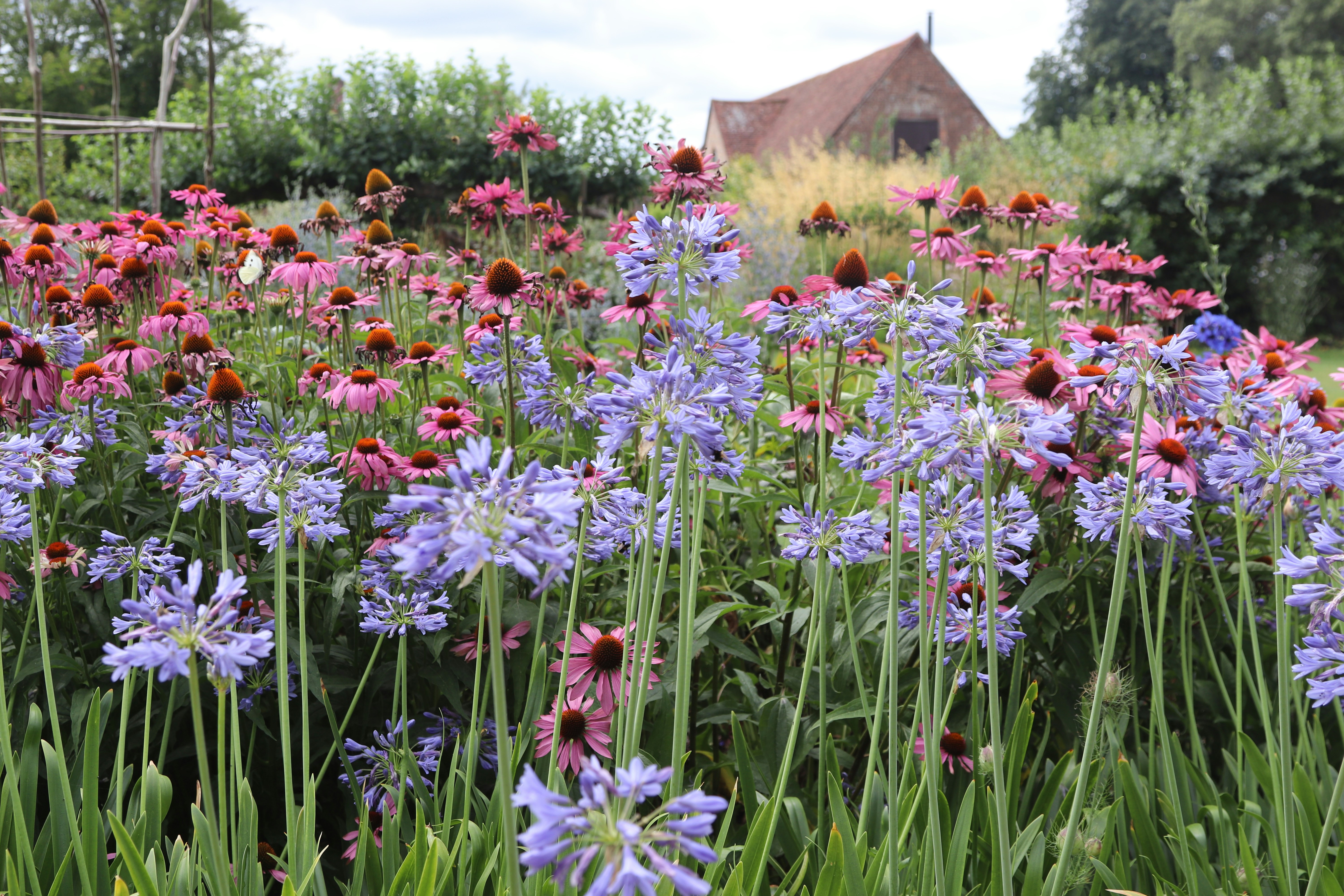 Photo by tanyabarrow