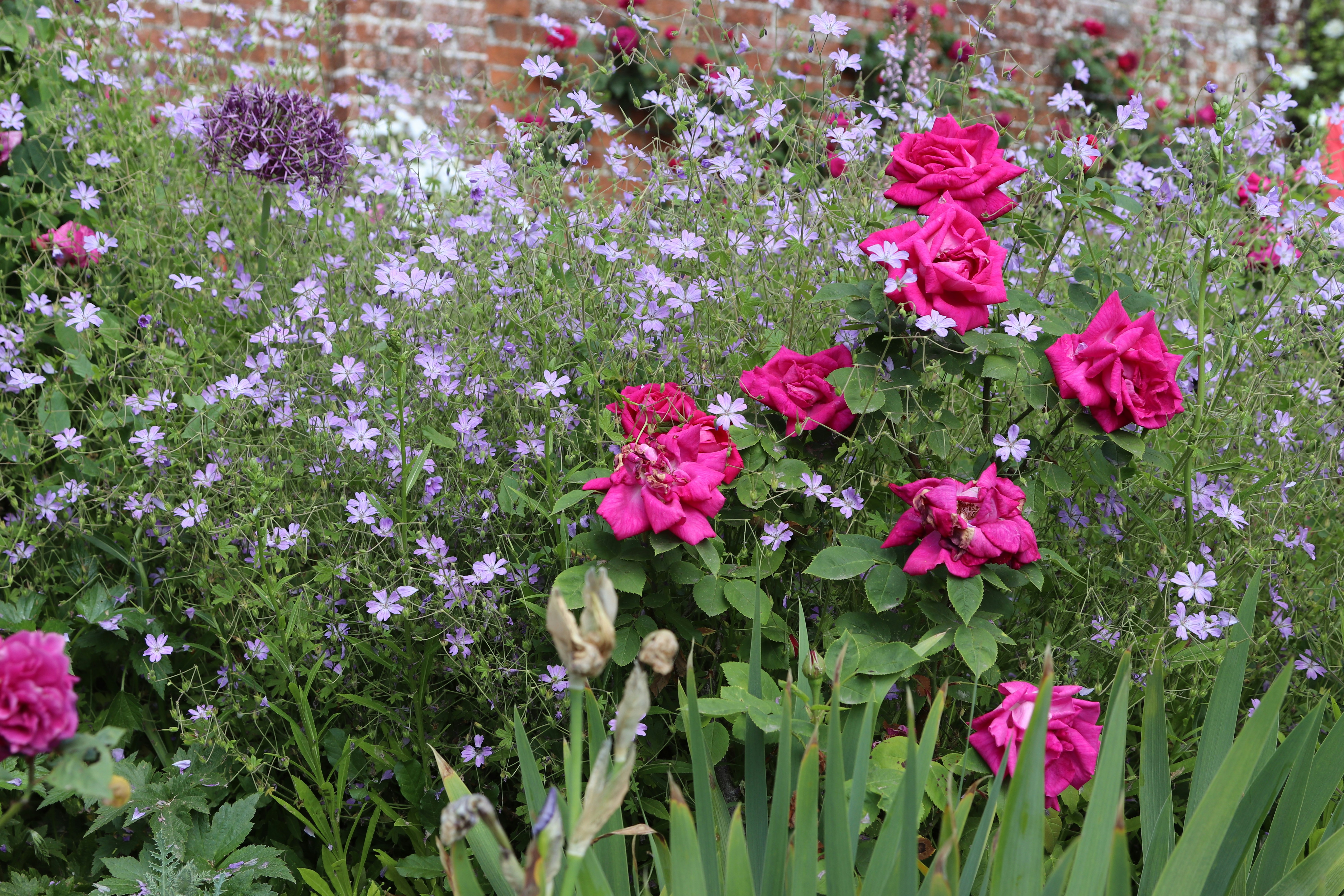 Photo by tanyabarrow