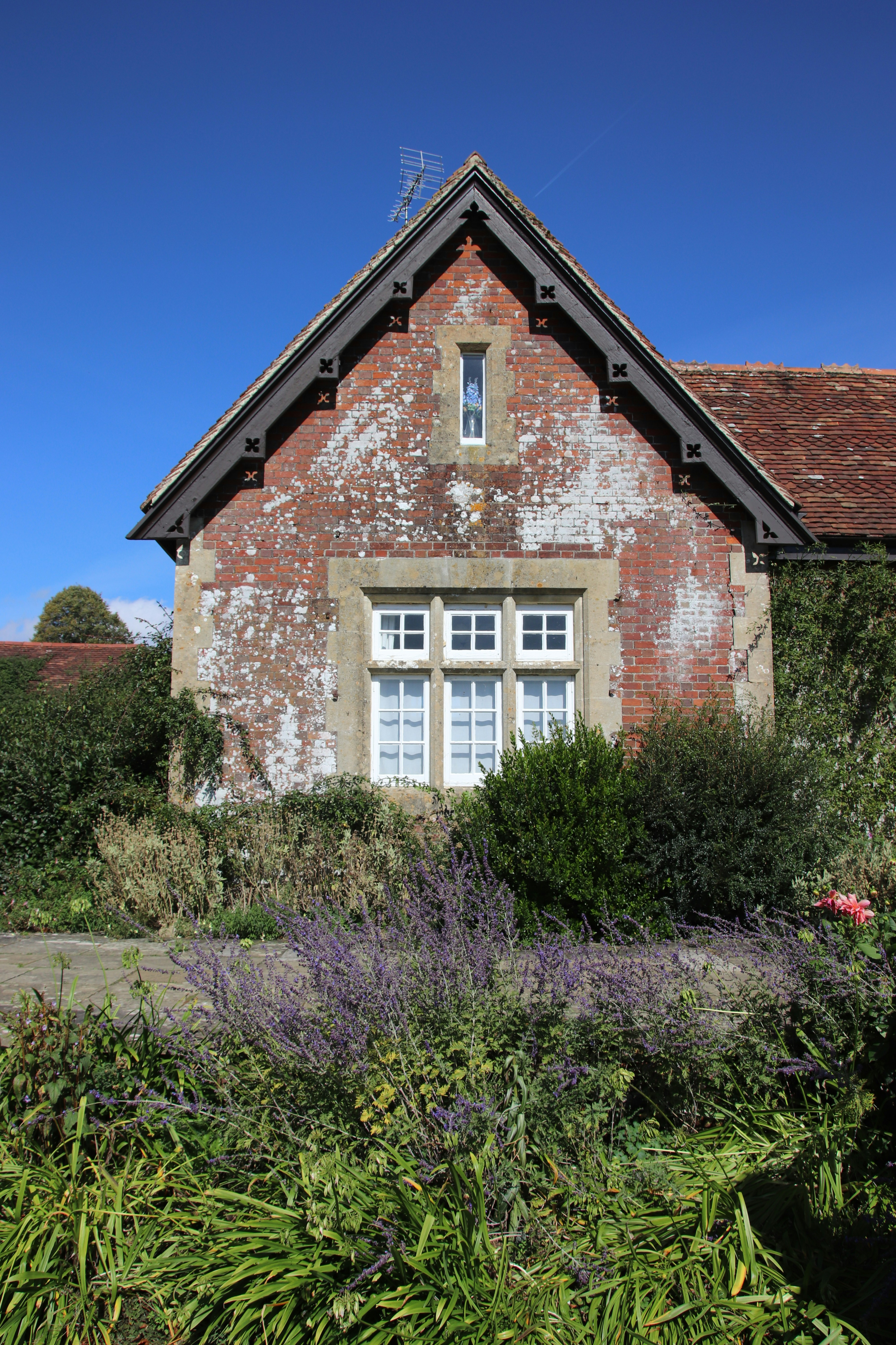 Photo by tanyabarrow