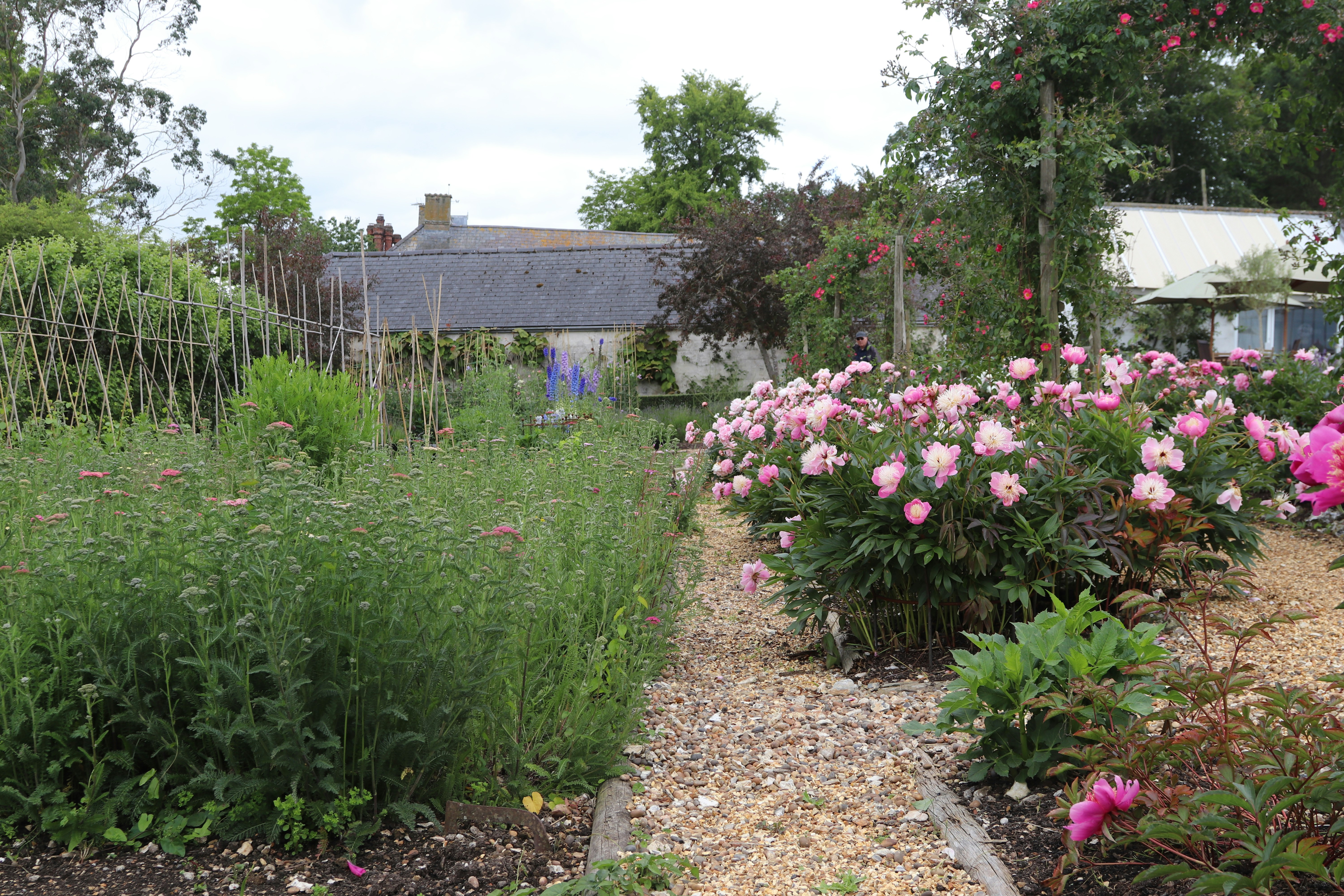 Photo by tanyabarrow