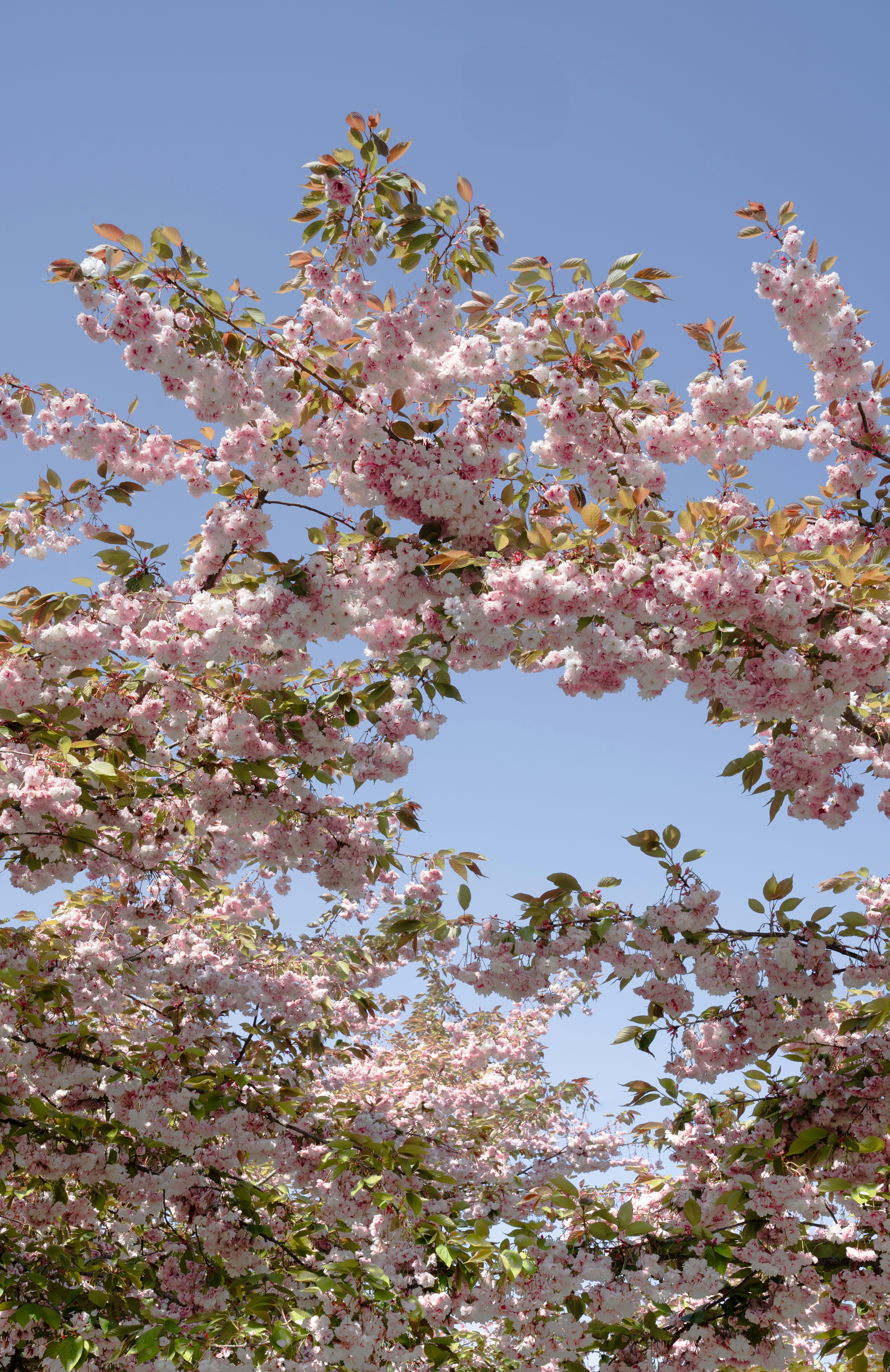 Photo by elisabeth_rausch