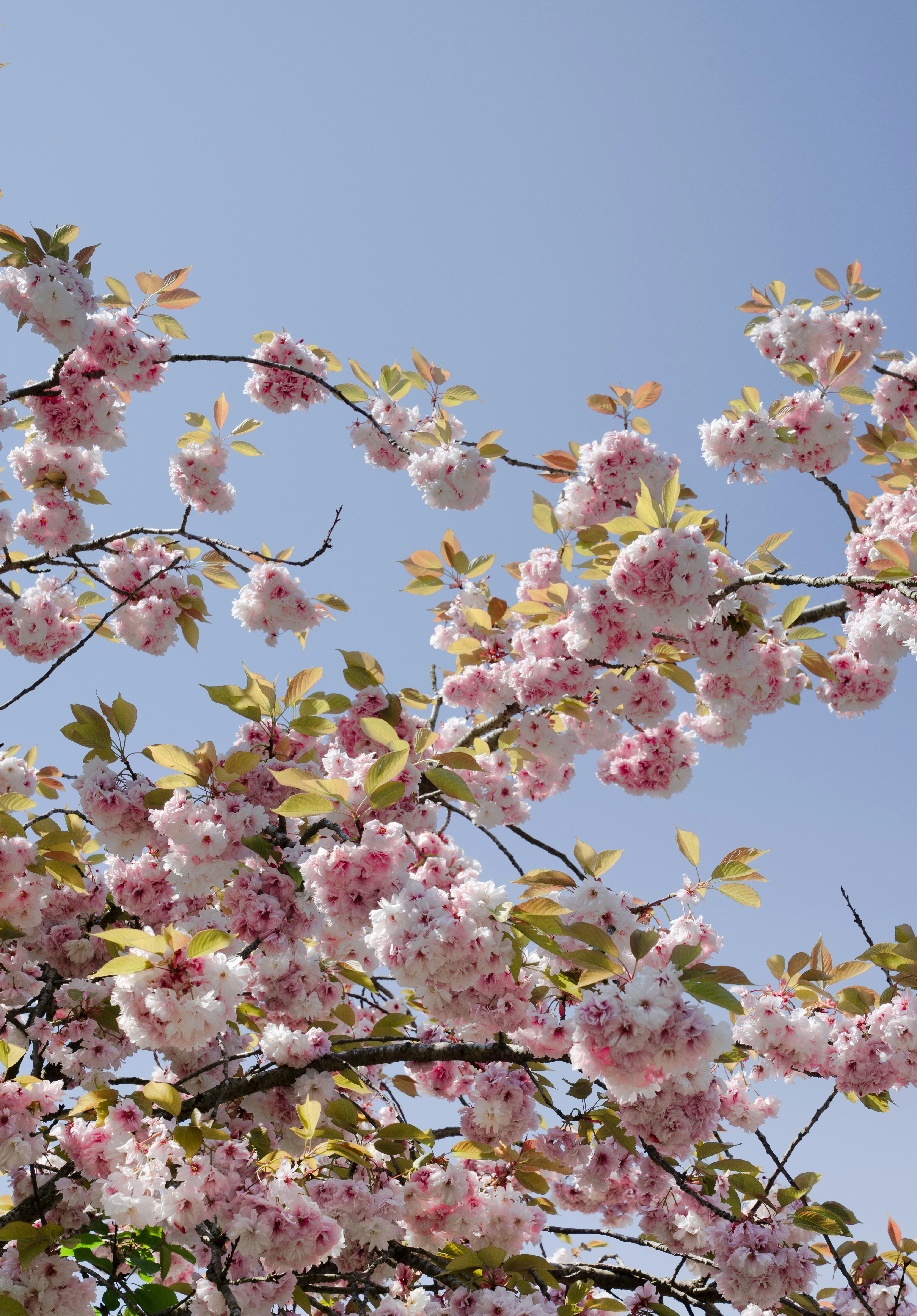 Photo by elisabeth_rausch