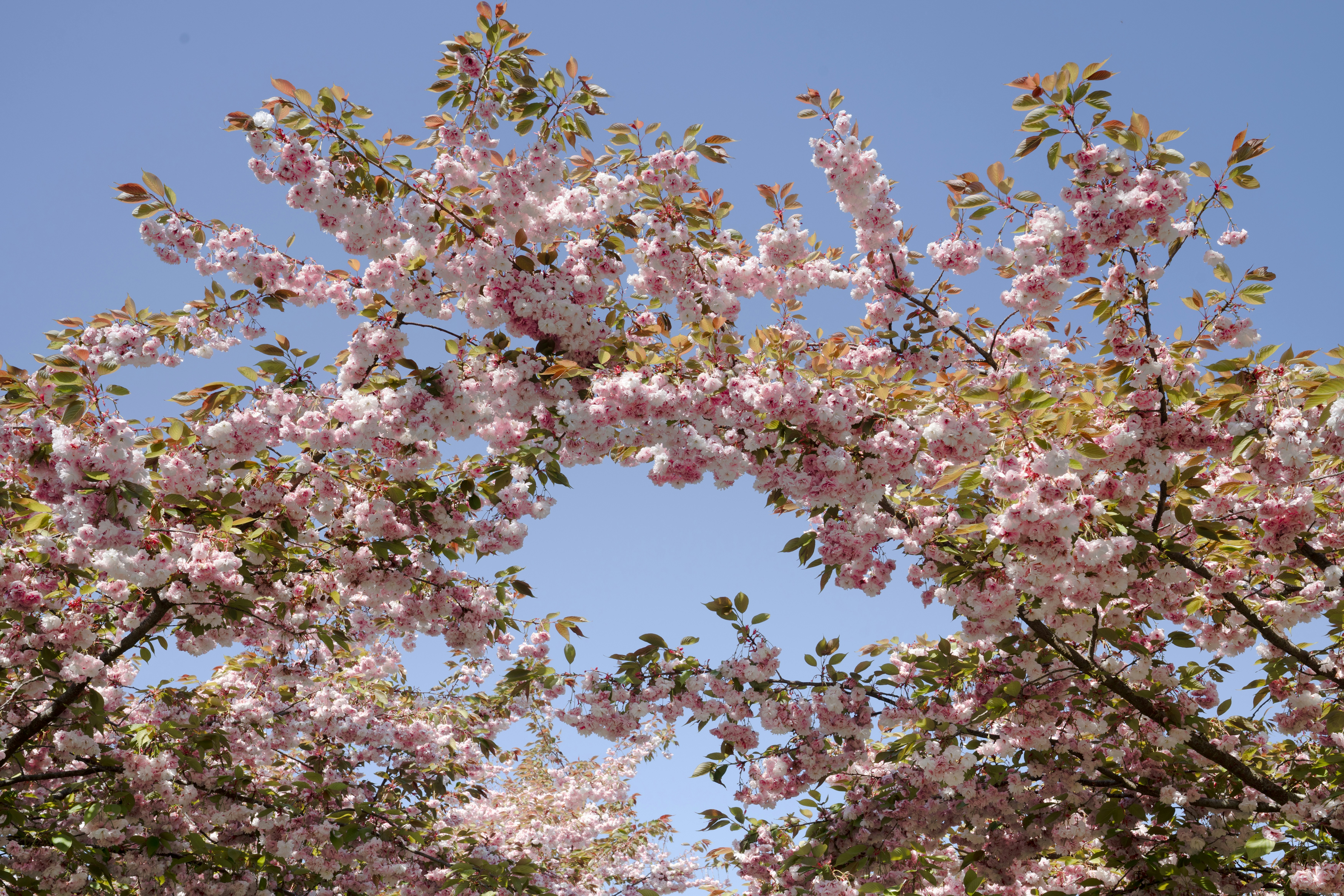 Photo by elisabeth_rausch