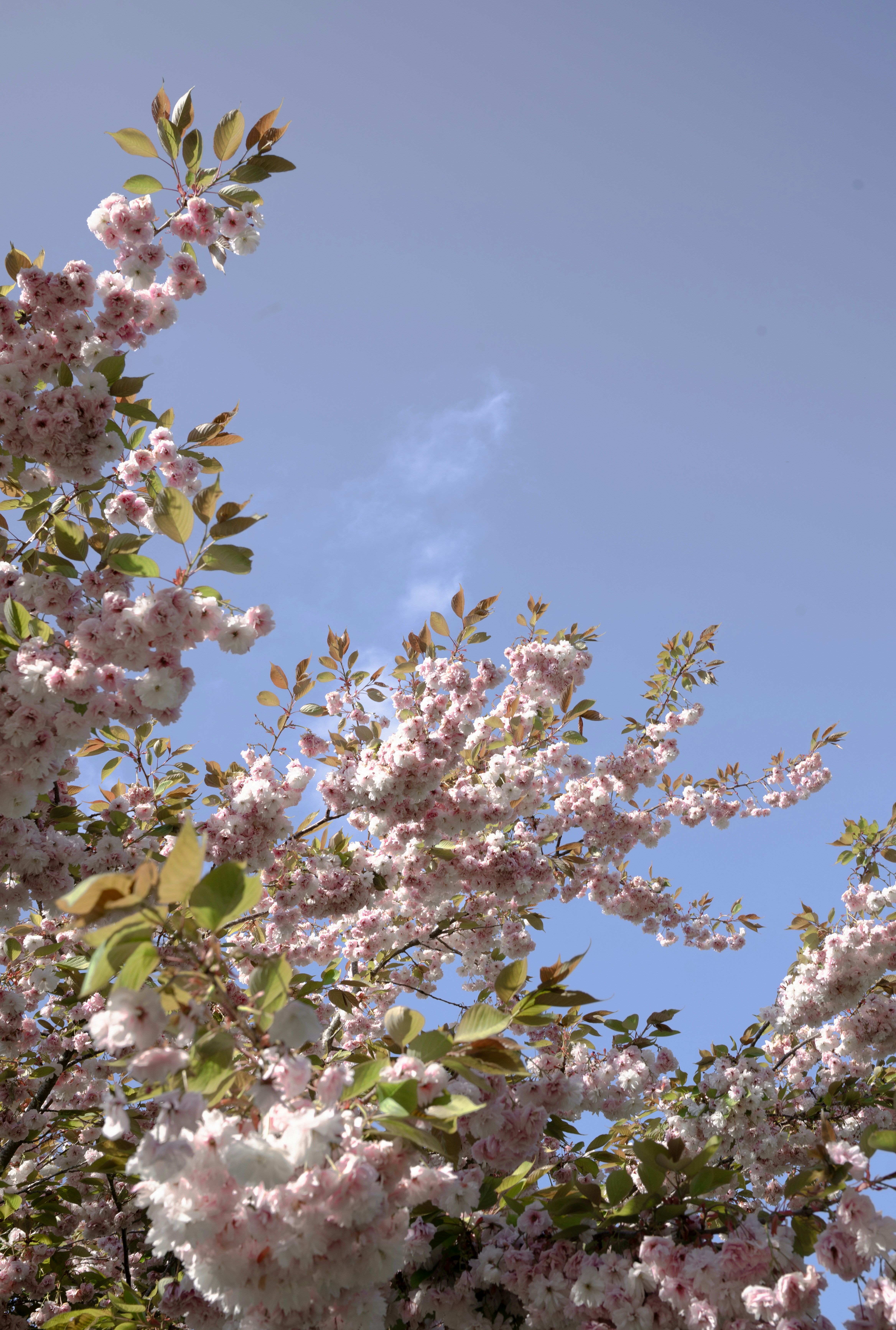 Photo by elisabeth_rausch