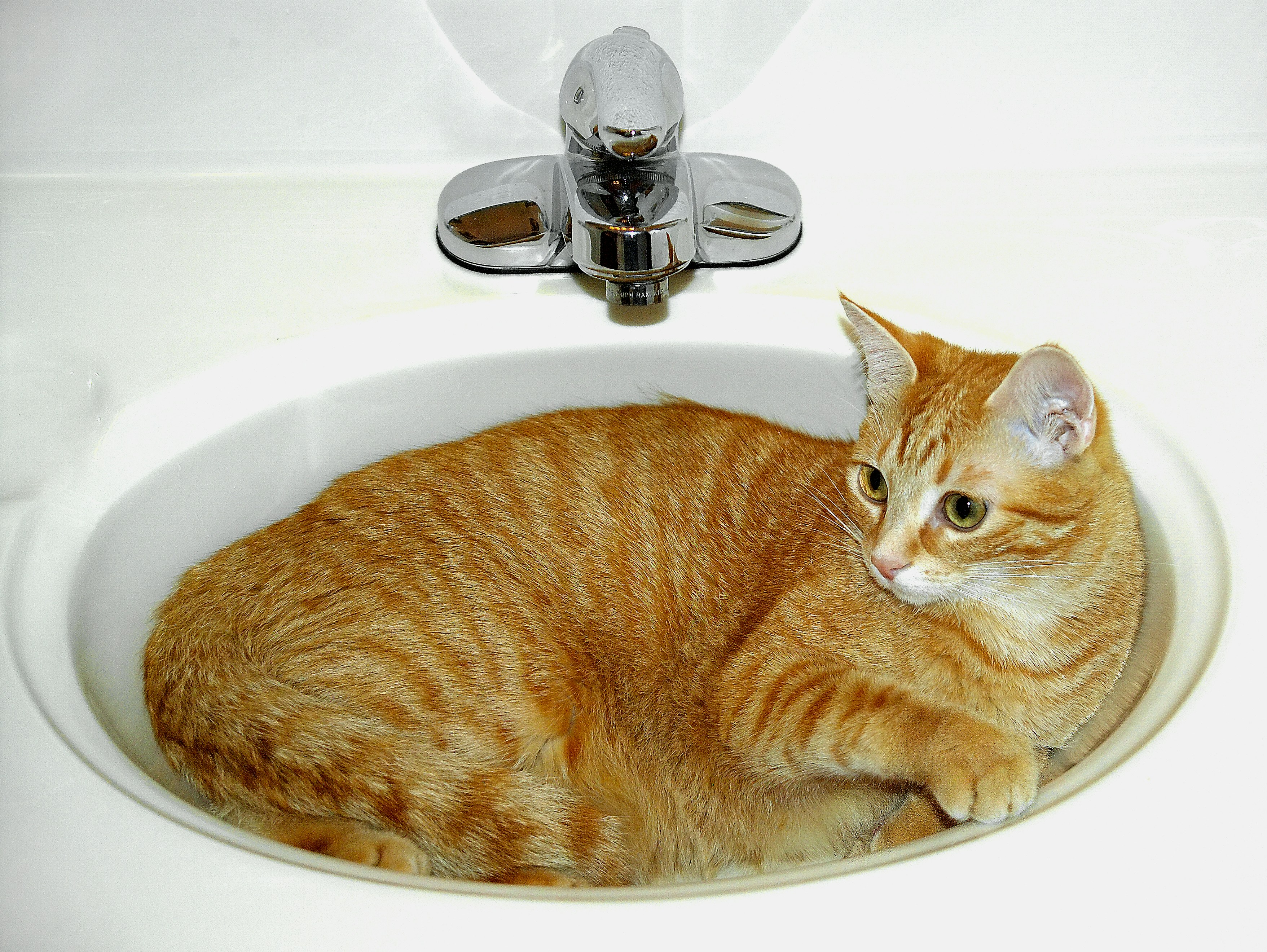 The Cool Ceramic Appeal (image credits: unsplash)