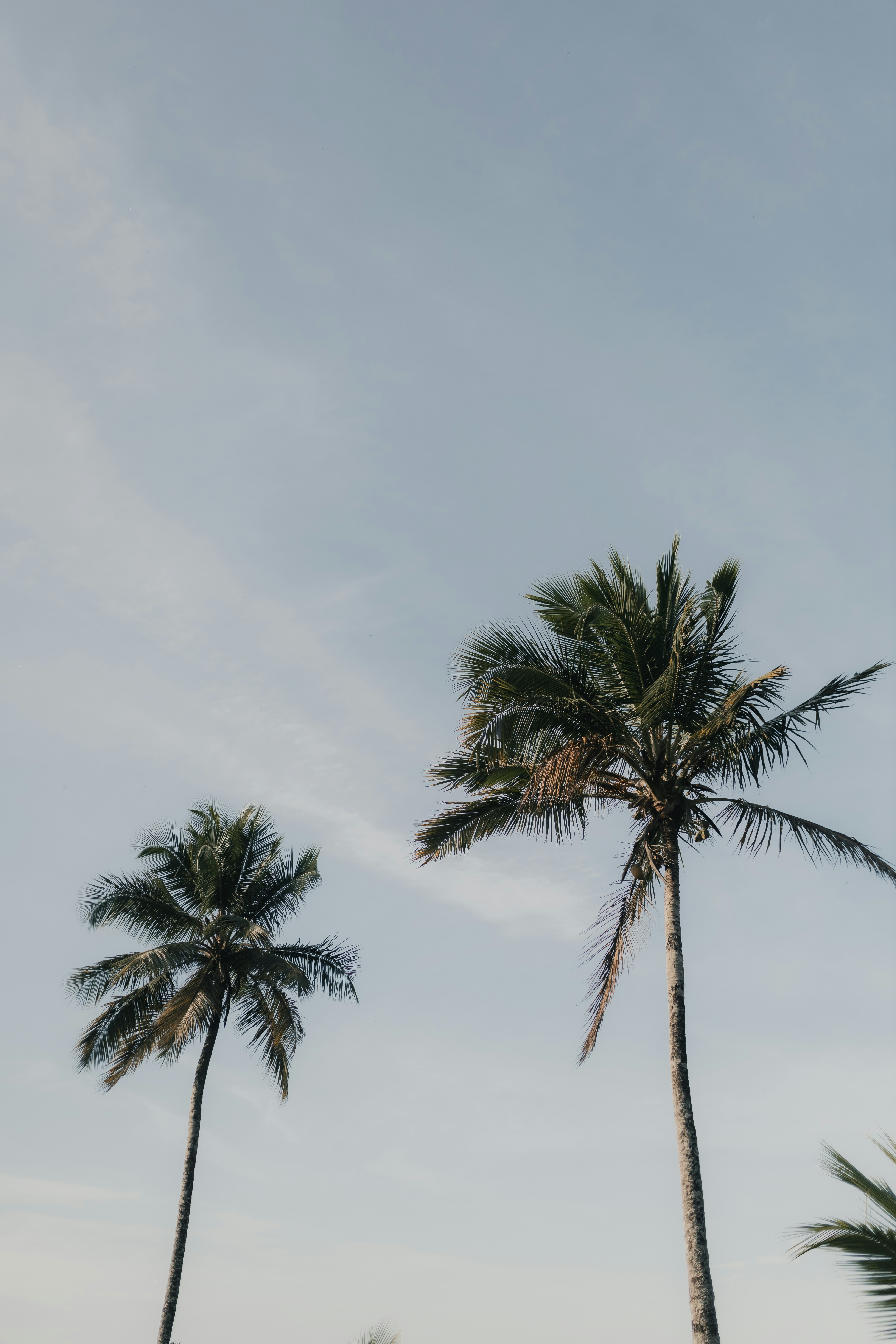 Photo by alexandermassph