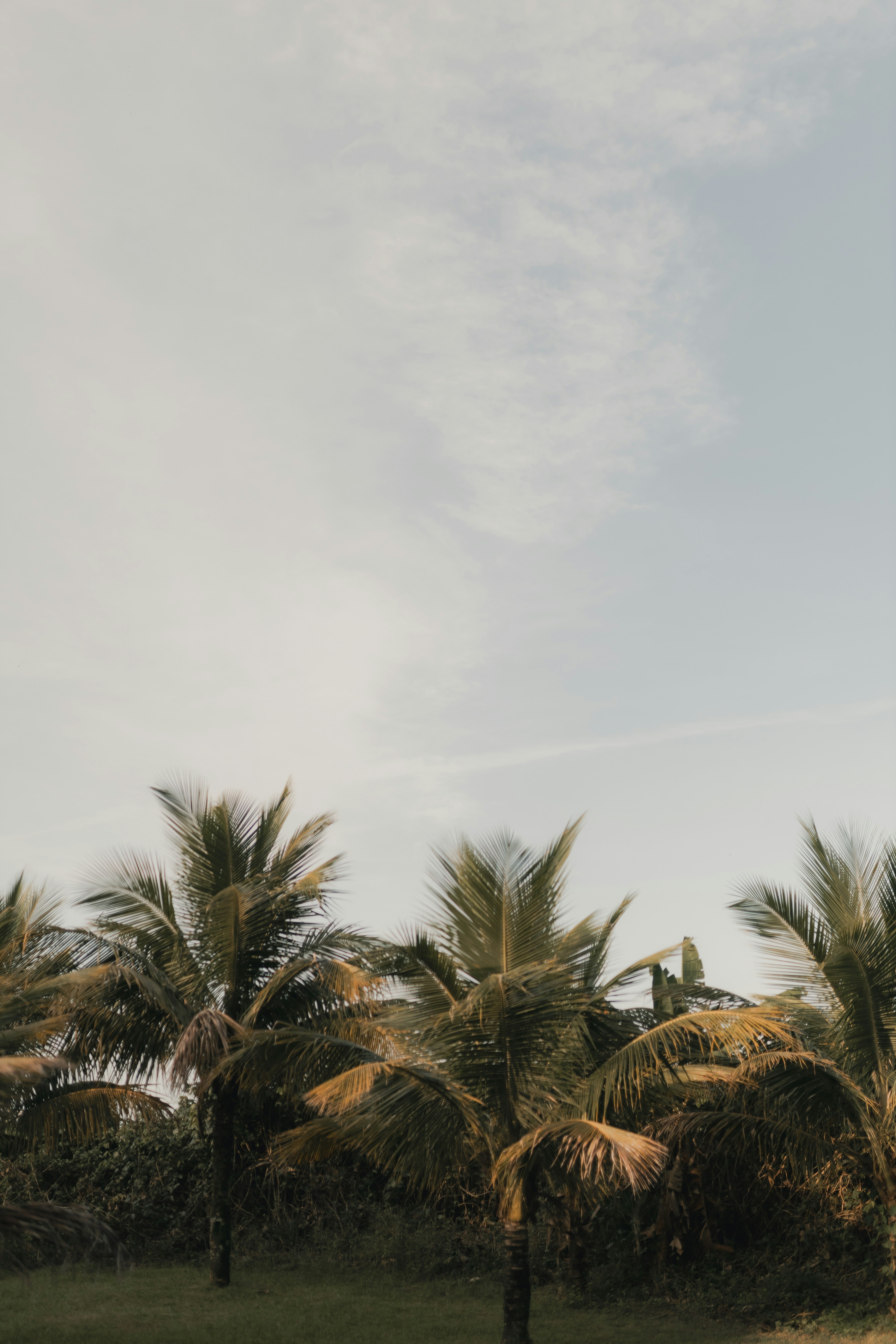 Photo by alexandermassph