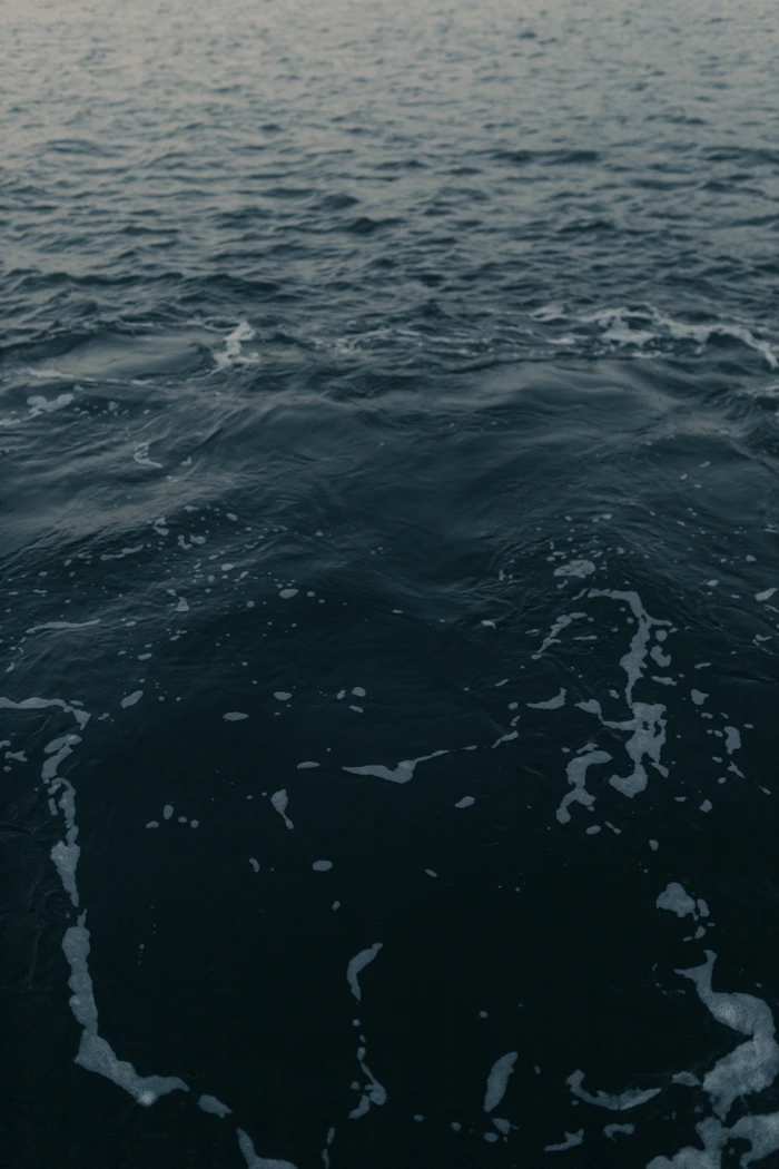 Calm water texture
