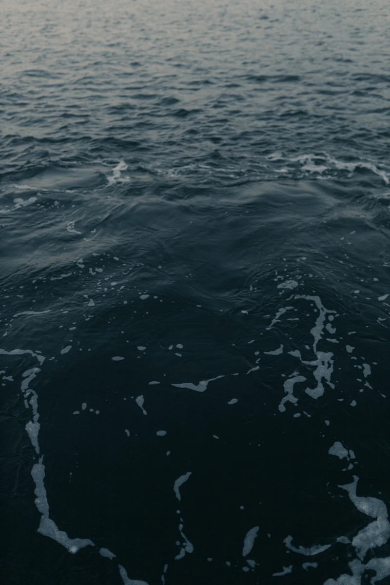 Still ocean surface